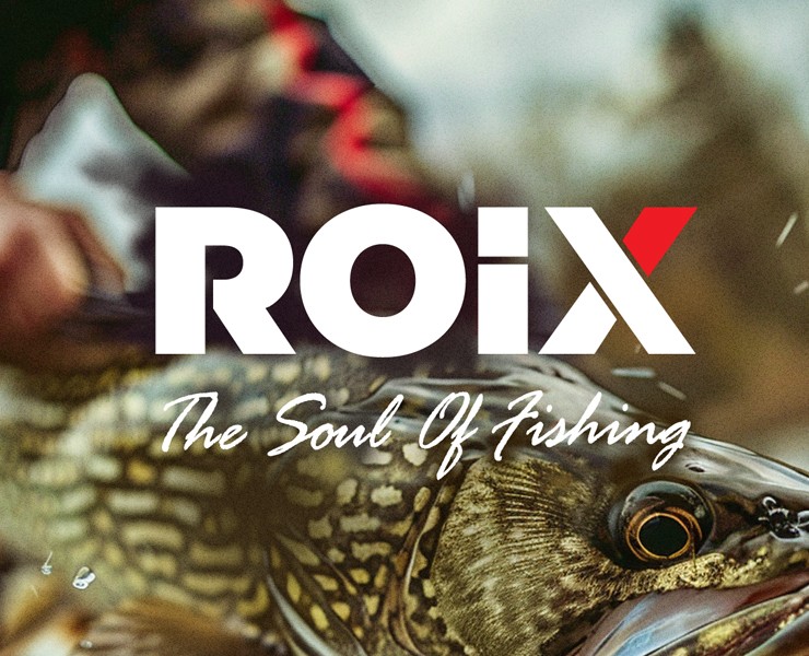 ROIX / Логотип / айдентика  бренда — Брендинг на Dprofile
