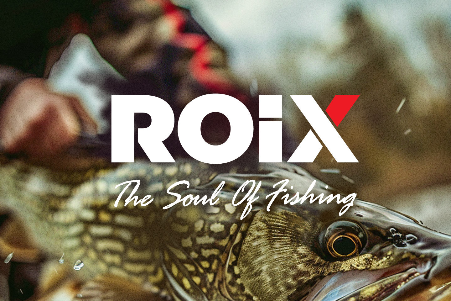 ROIX / Логотип / айдентика  бренда — Изображение №1 — Брендинг на Dprofile