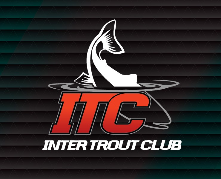 ITC логотип/брендинг — Брендинг на Dprofile