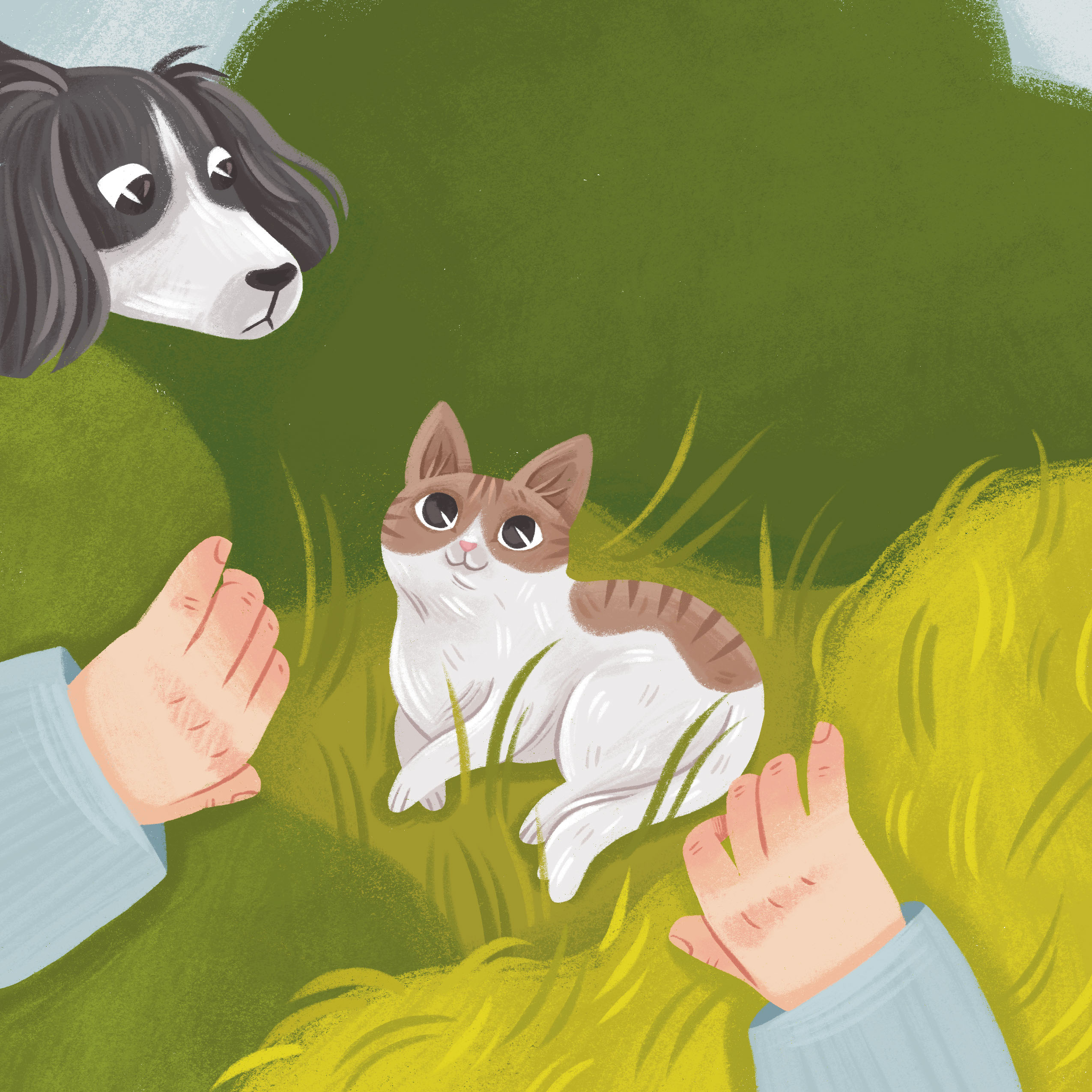 Книжная иллюстрация — Изображение №11 — Иллюстрация на Dprofile