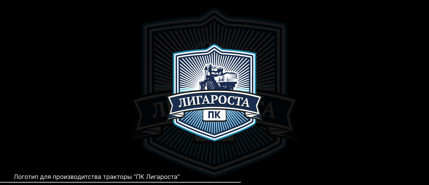 Logo' 24 — Изображение №15 — Брендинг, Графика на Dprofile