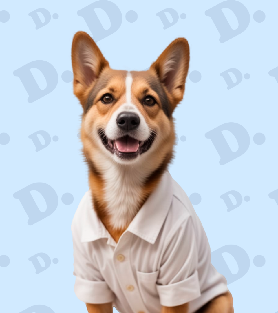 Логотип для ветеринарной клиники Docdog. — Изображение №15 — Брендинг на Dprofile