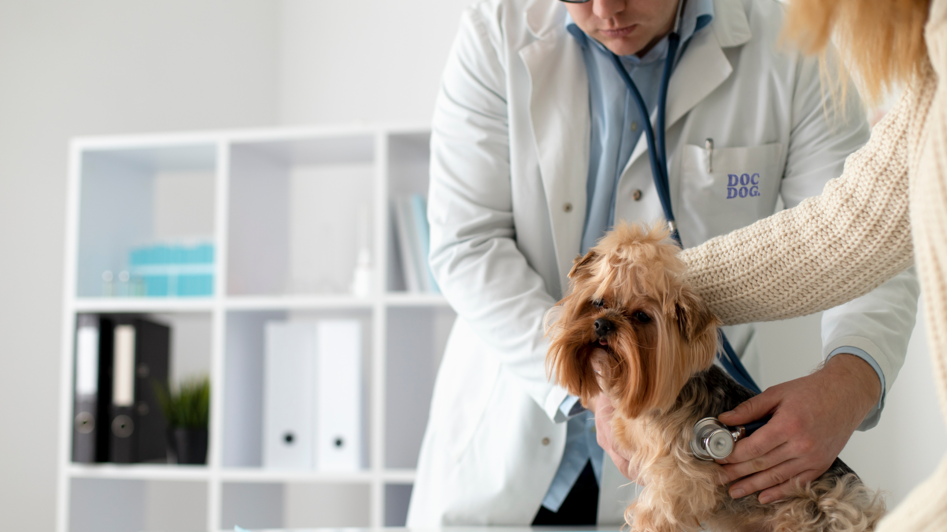 Логотип для ветеринарной клиники Docdog. — Изображение №7 — Брендинг на Dprofile