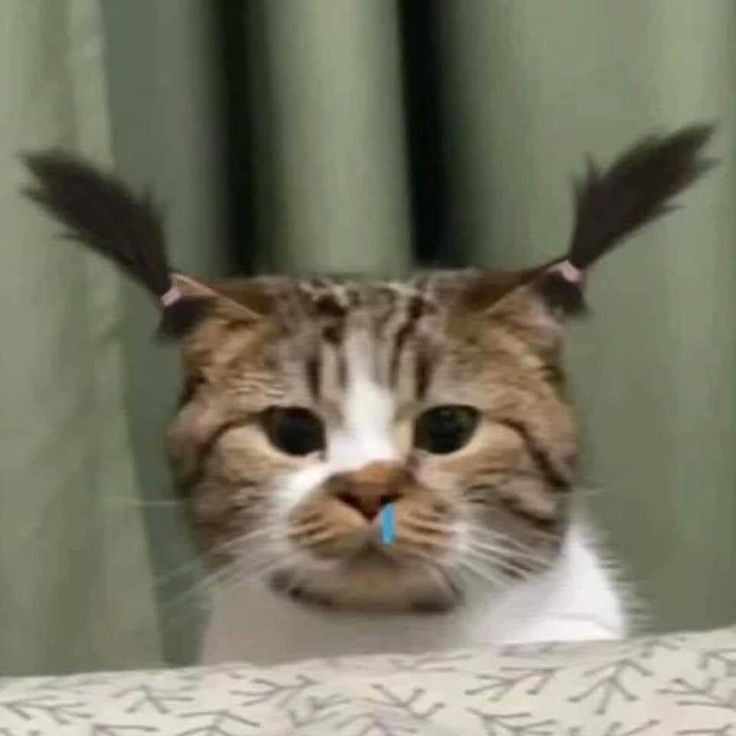 Аватар пользователя Dosik Sed