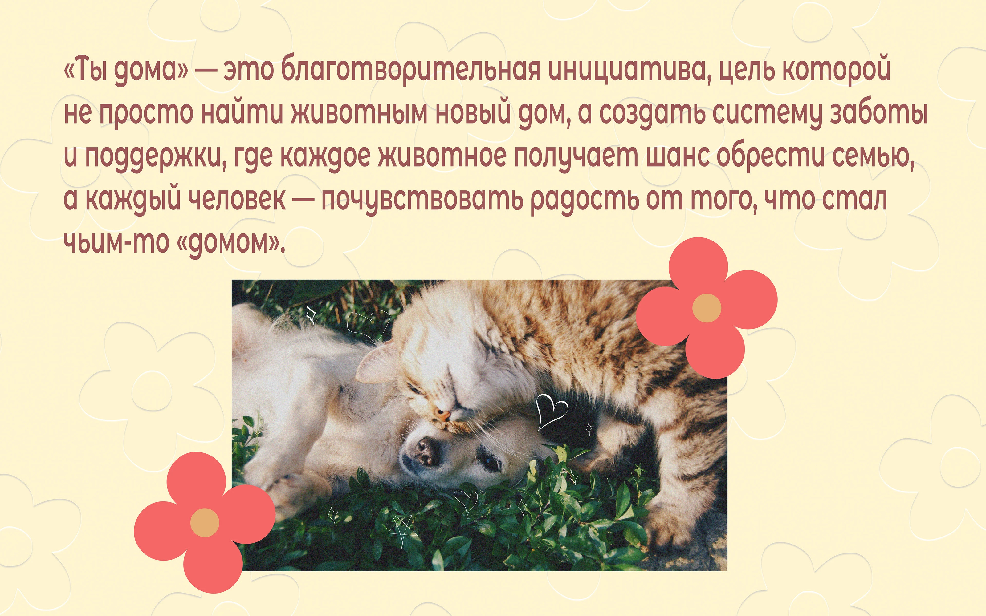 Animal Shelter "You are Home" ("Ты дома") — Изображение №2 — Брендинг на Dprofile