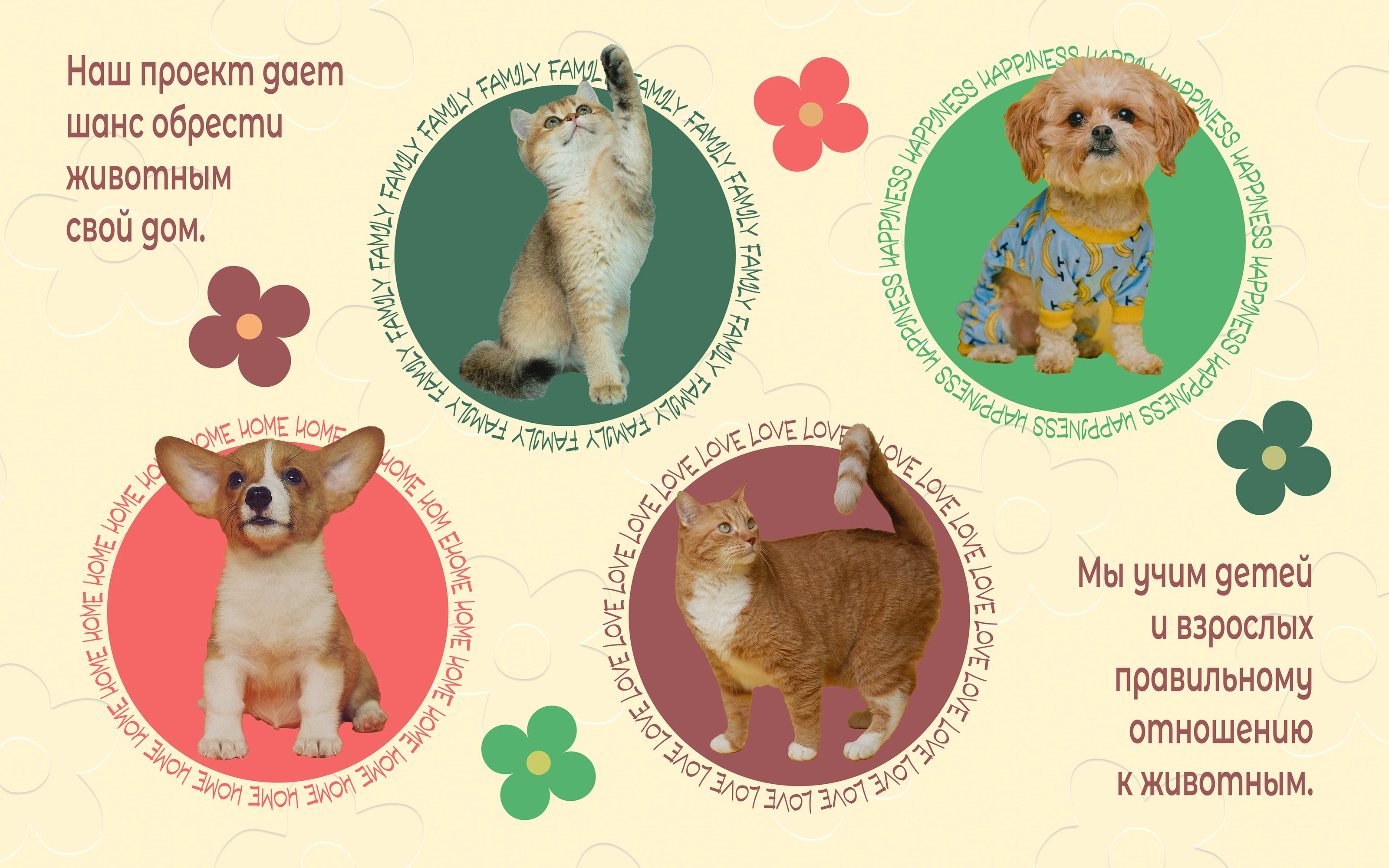 Animal Shelter "You are Home" ("Ты дома") — Изображение №3 — Брендинг на Dprofile