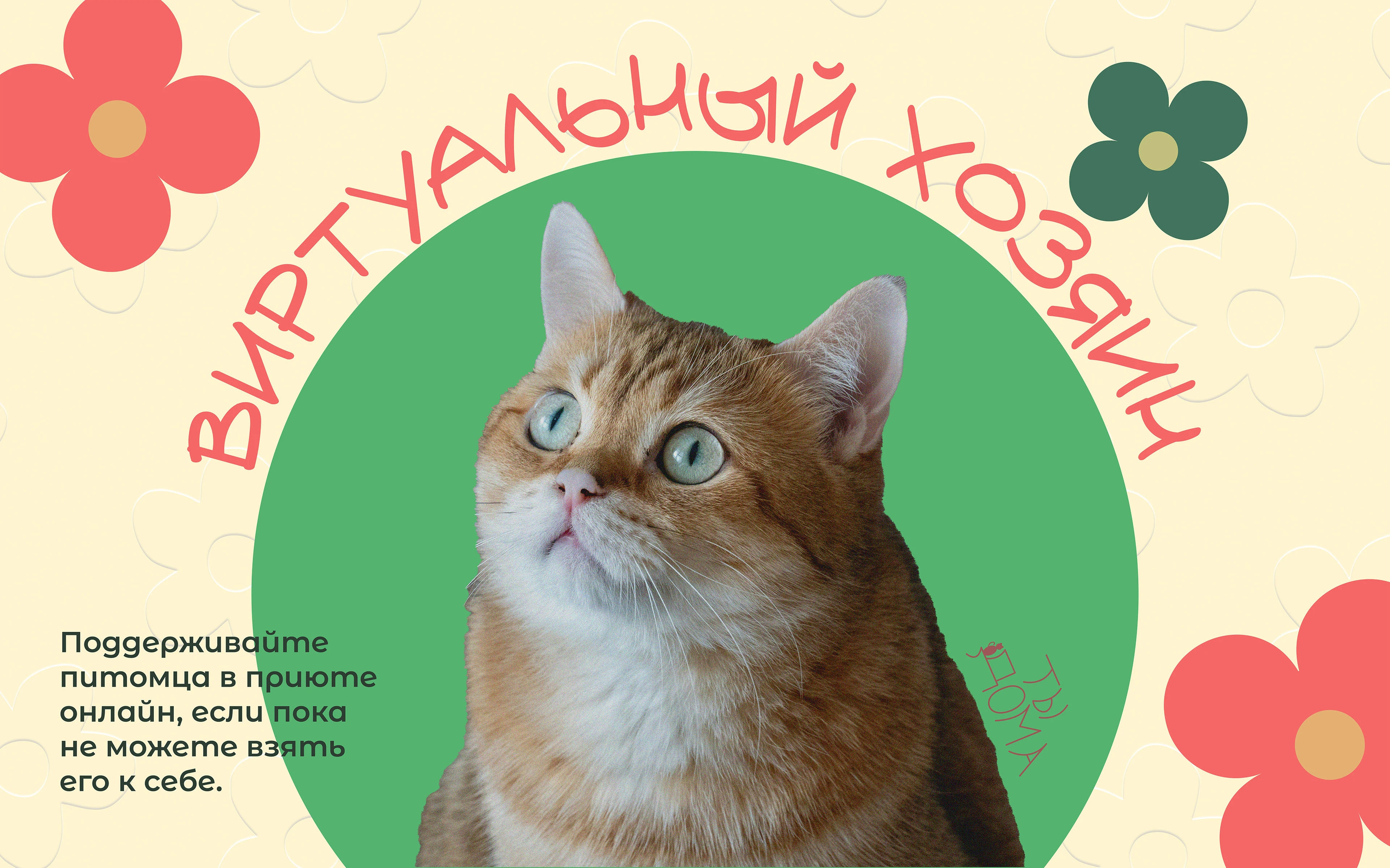 Animal Shelter "You are Home" ("Ты дома") — Изображение №4 — Брендинг на Dprofile