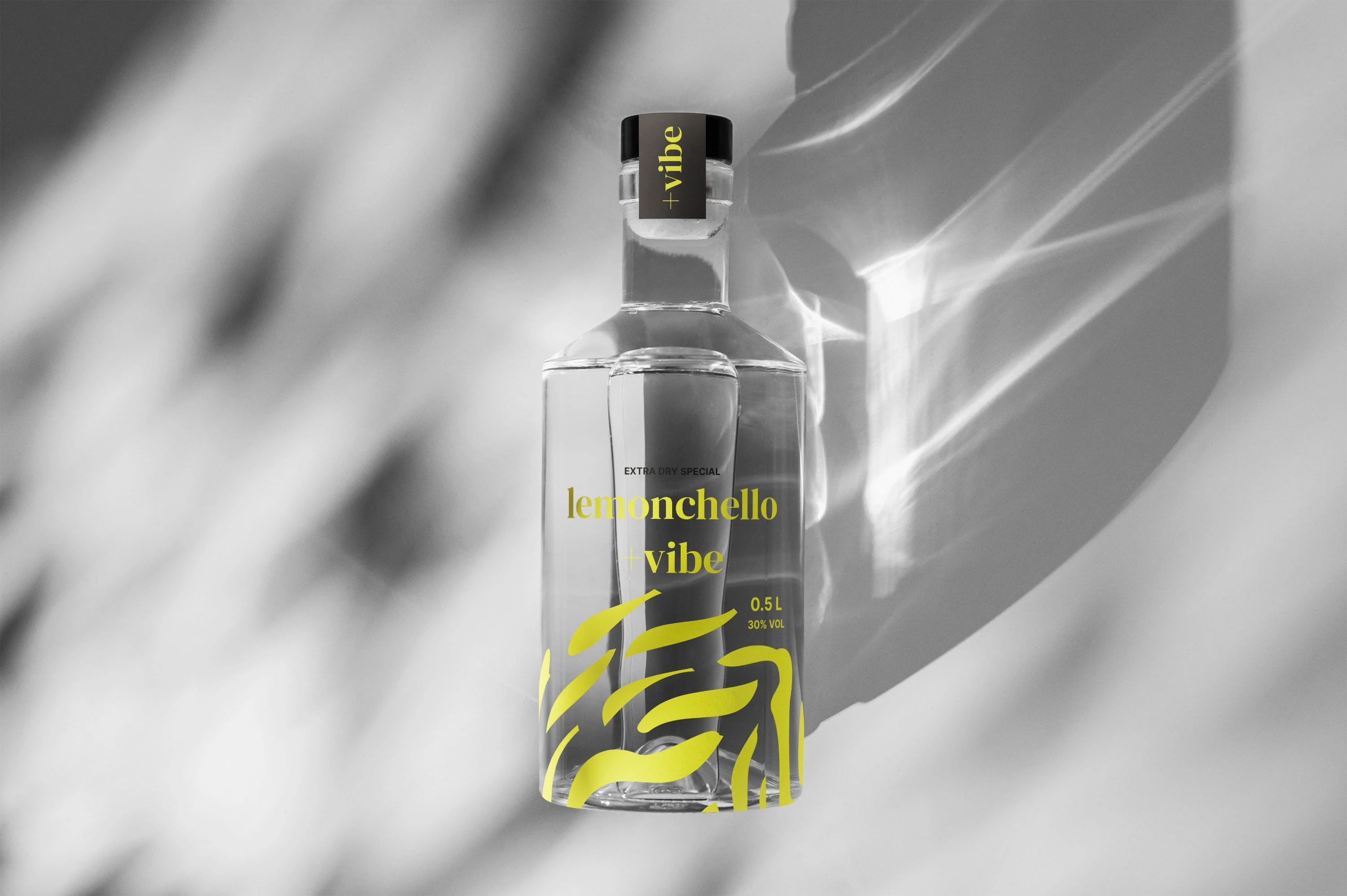 +vibe branding — Изображение №14 — Брендинг, Маркетинг на Dprofile