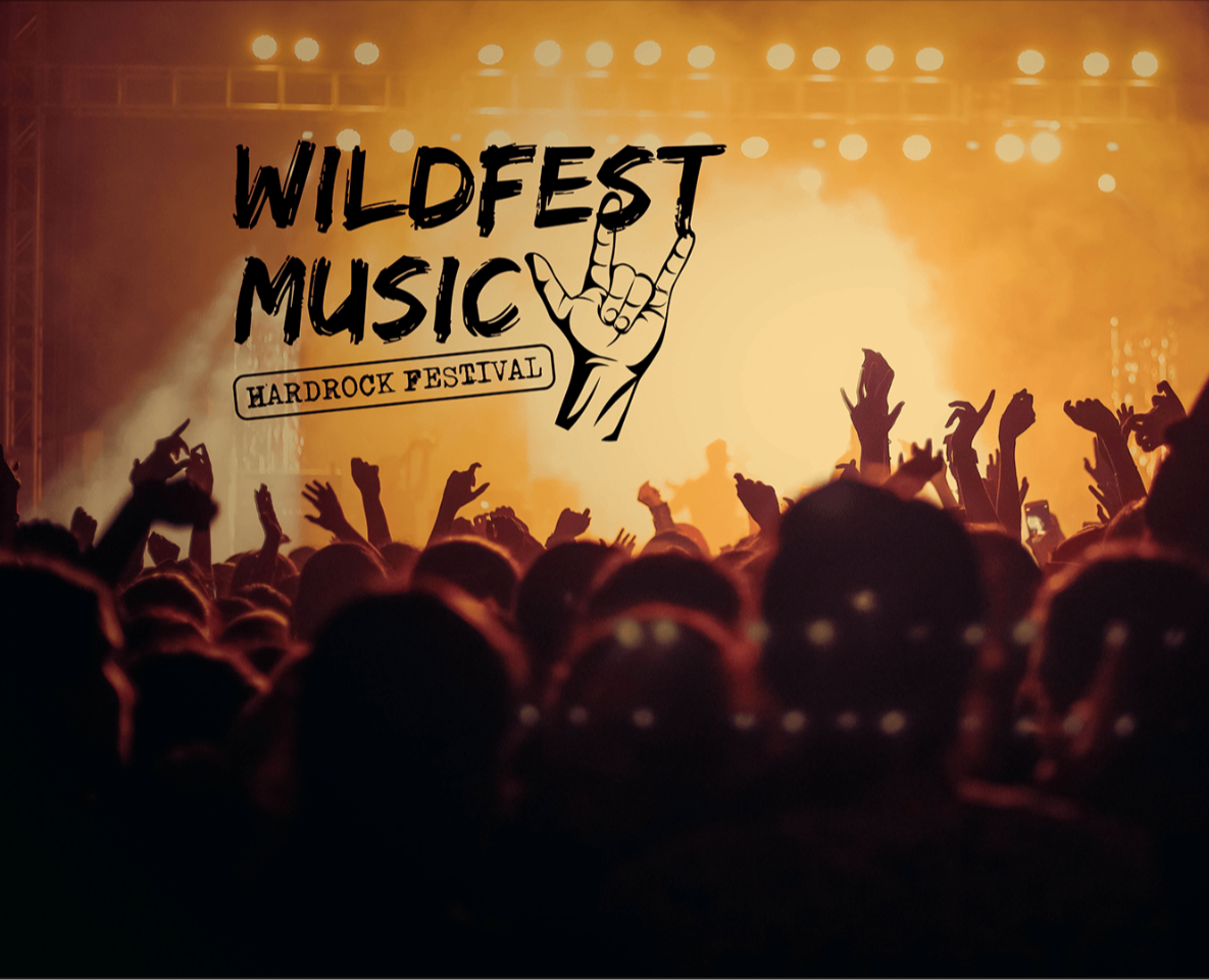 Identity for the festival "WILDFEST MUSIC" — Брендинг, Графика на Dprofile