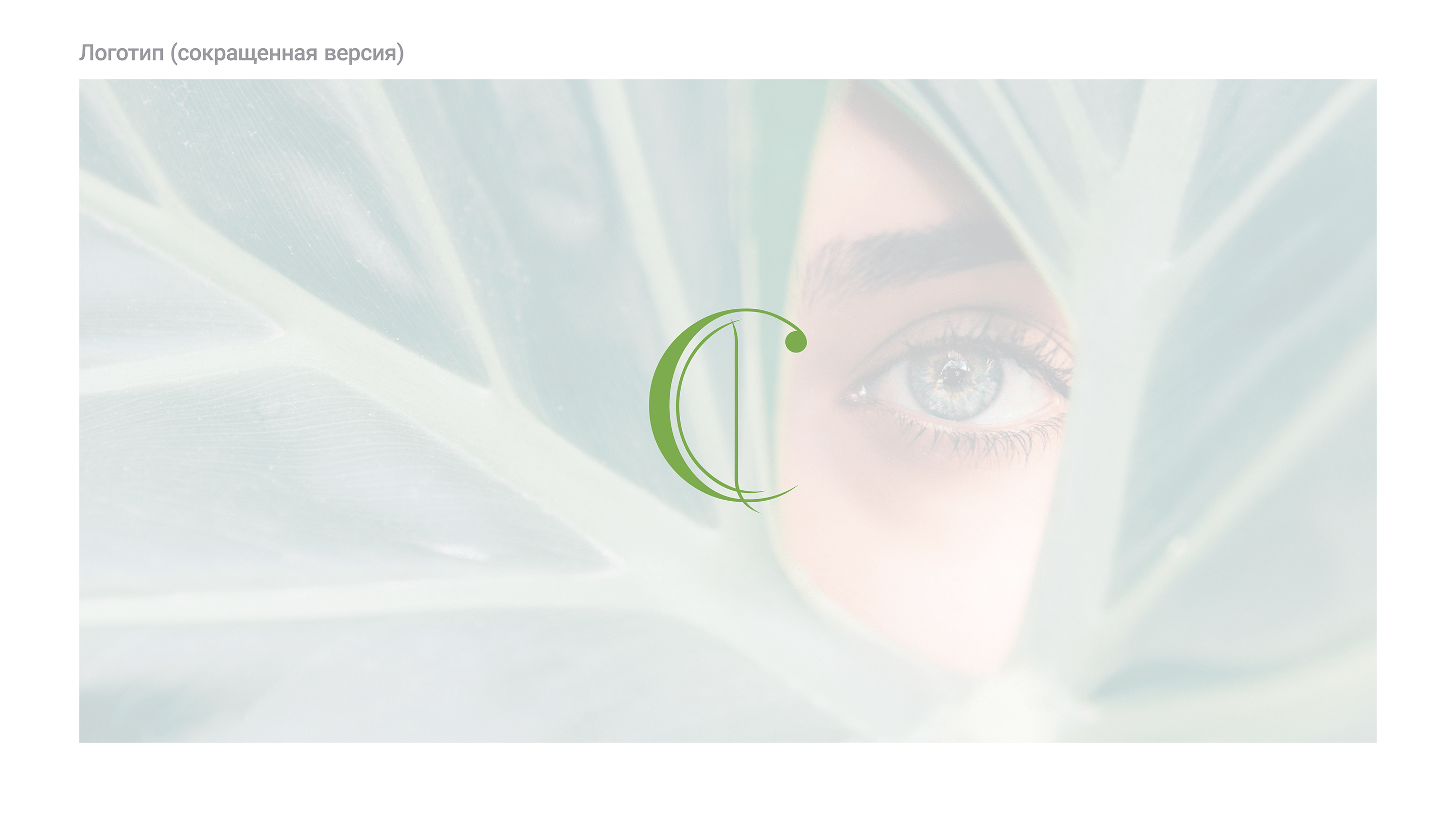 Cleopatra brand logo and packaging — Изображение №6 — Брендинг на Dprofile