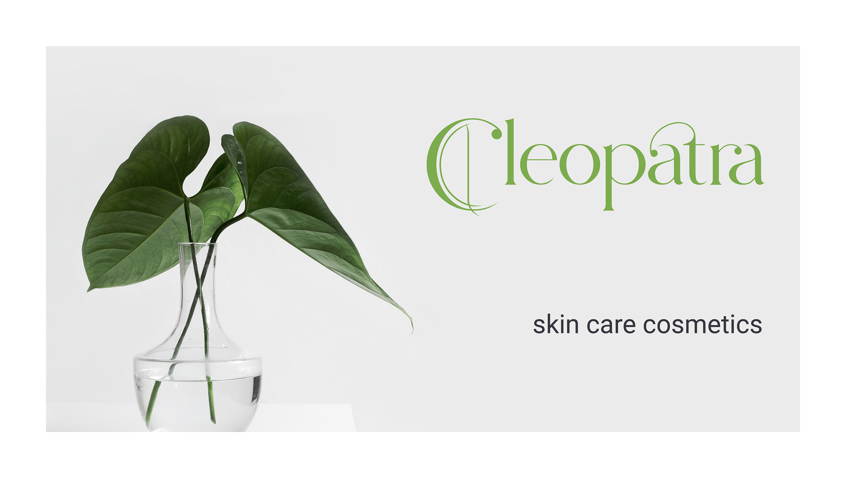Cleopatra brand logo and packaging — Изображение №1 — Брендинг на Dprofile