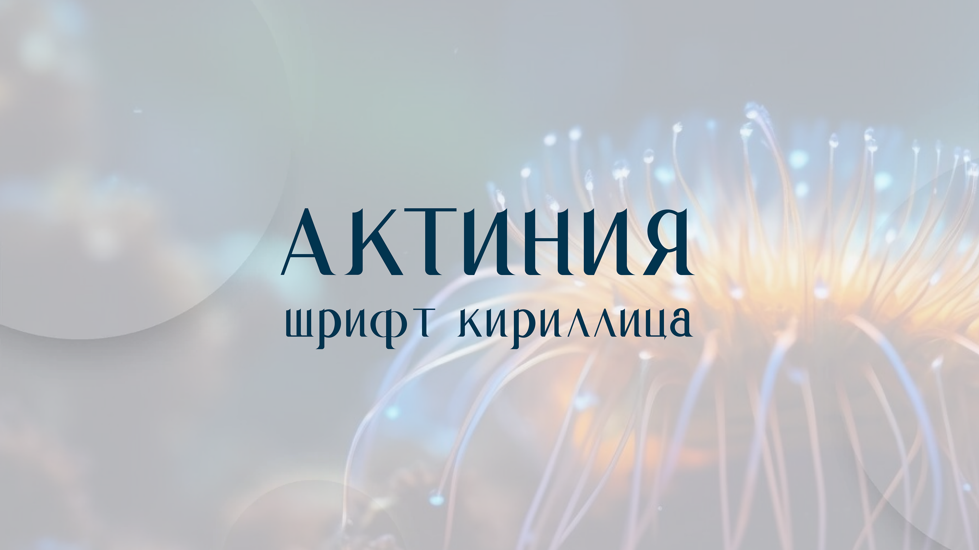 Шрифт Актиния — Изображение №1 — Графика на Dprofile