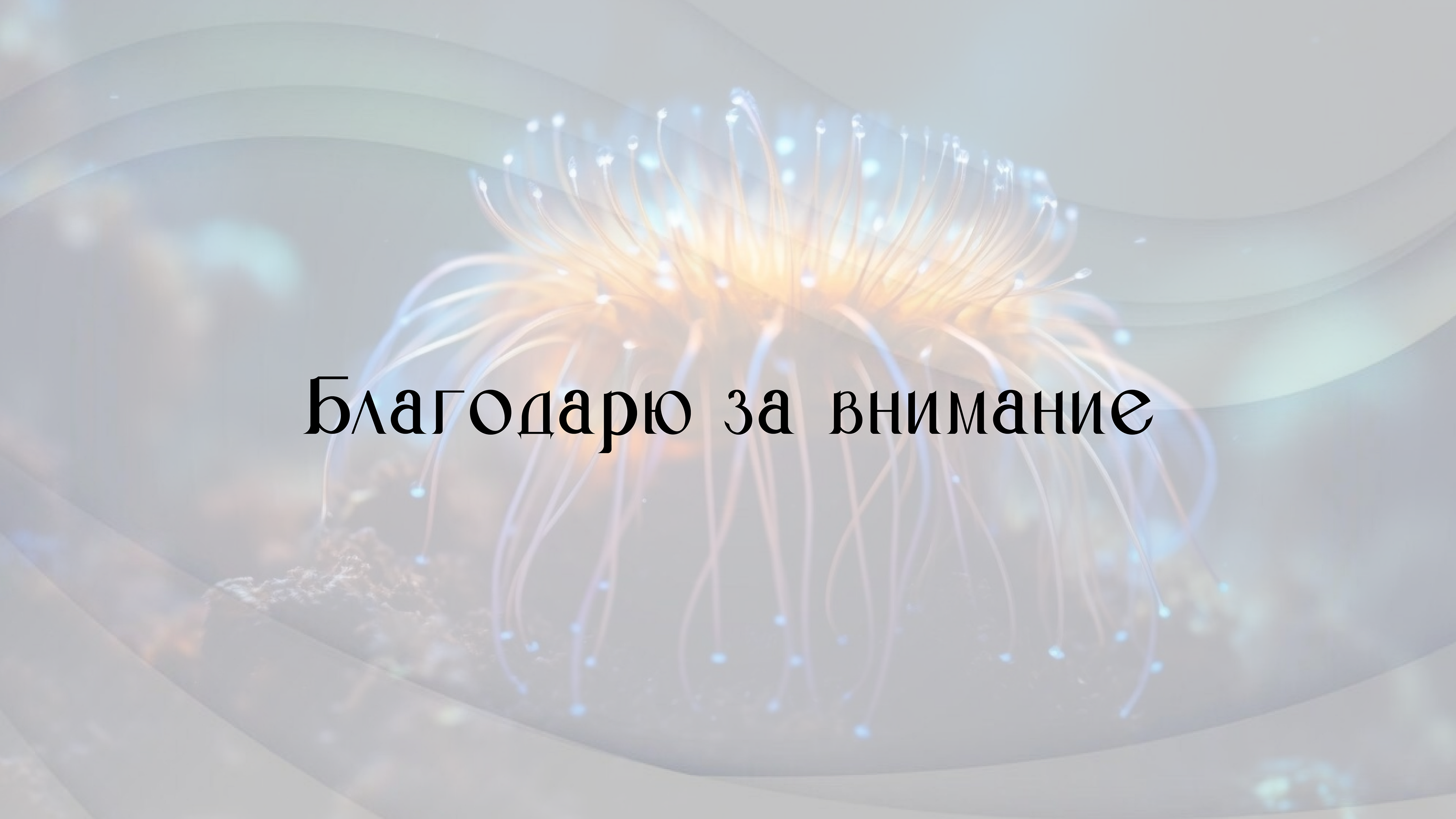 Шрифт Актиния — Изображение №8 — Графика на Dprofile