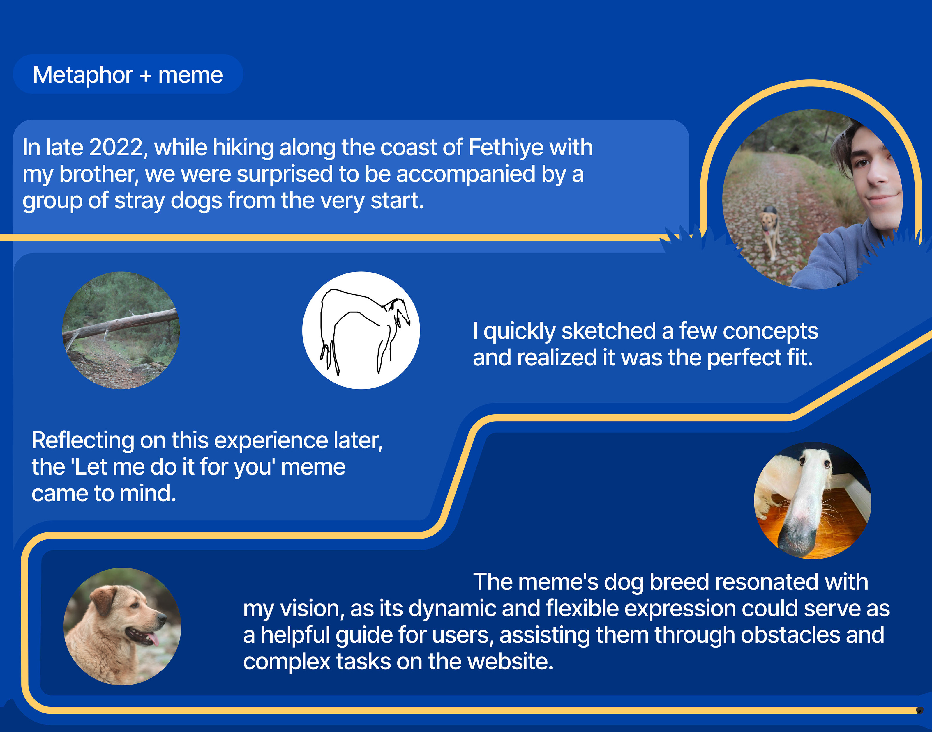 Landing page for hiking — Изображение №6 — Брендинг, Иллюстрация на Dprofile