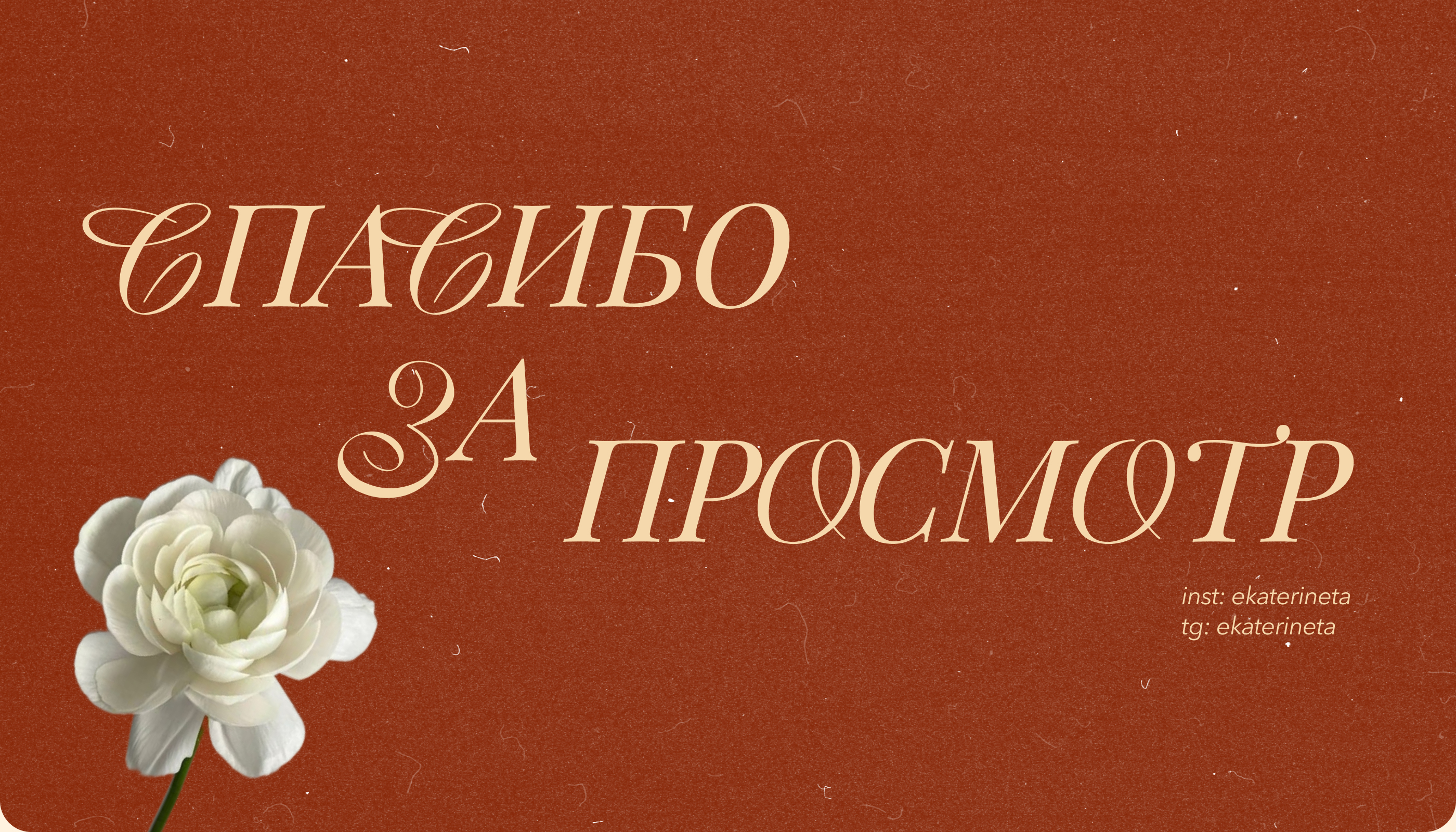 Дизайн сайта // Цветы и Кофе — Изображение №34 — Интерфейсы, Анимация на Dprofile