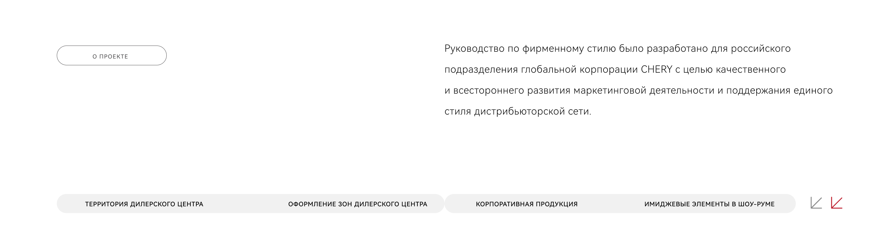 CheryRUS | BrandBook — Изображение №1 — Брендинг, Графика на Dprofile