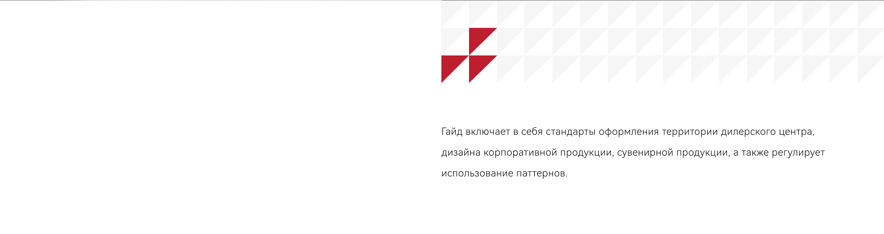 CheryRUS | BrandBook — Изображение №6 — Брендинг, Графика на Dprofile