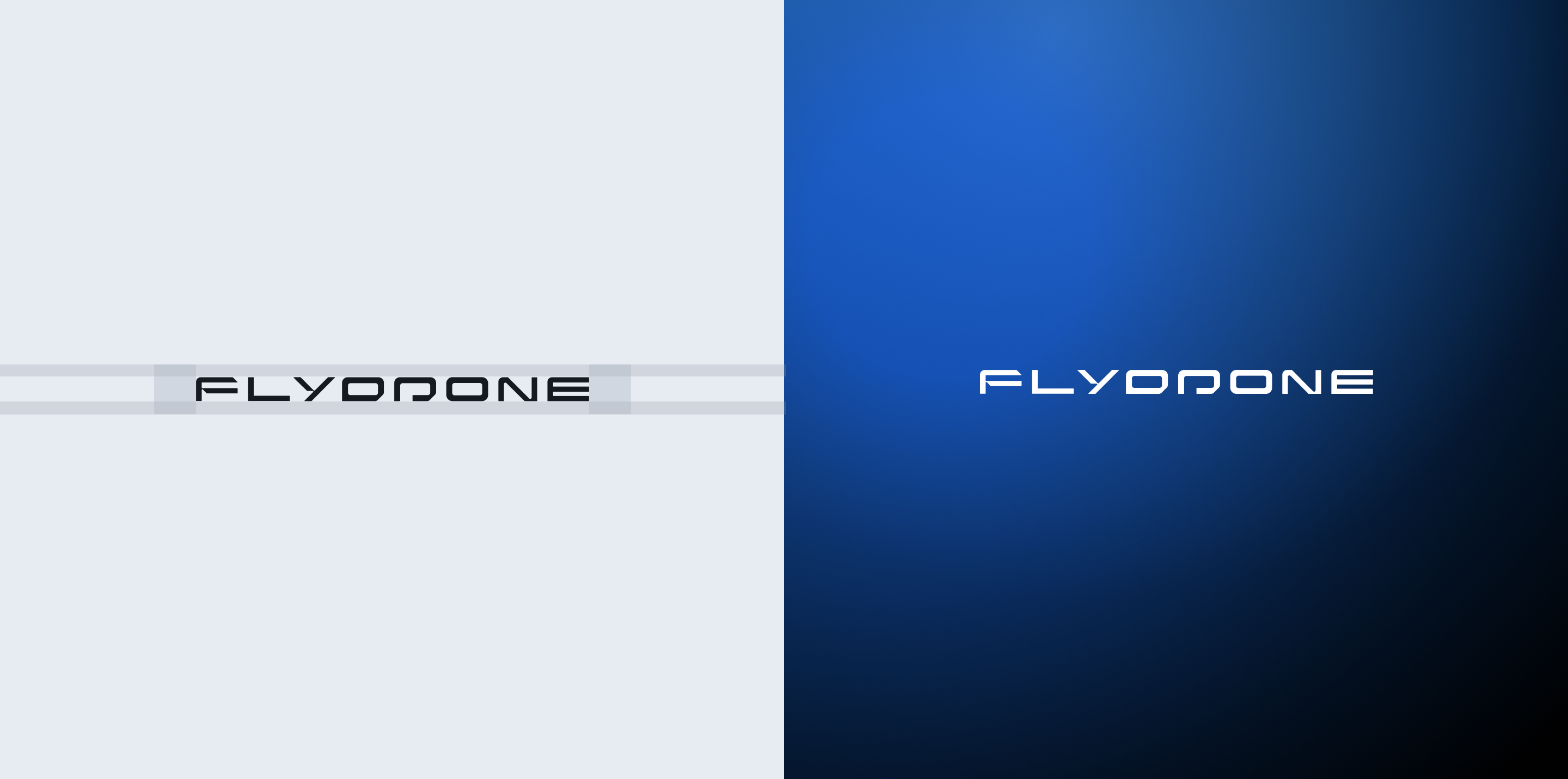 FlyDrone | 3D&Branding — Изображение №1 — Брендинг, 3D на Dprofile