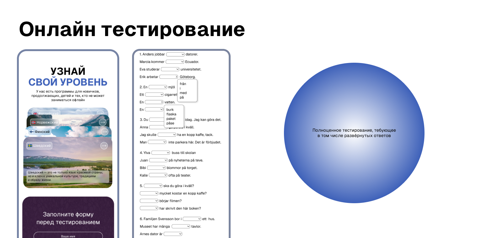 Языковая школа Nordic School — Изображение №7 — Интерфейсы, Иллюстрация на Dprofile
