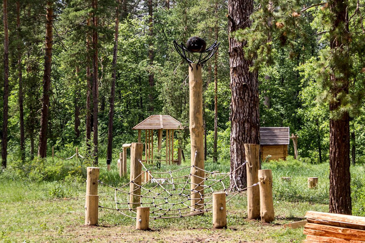 «Царь-бор» — комплекс из экопарка и экотропы — Изображение №1 — Графика на Dprofile