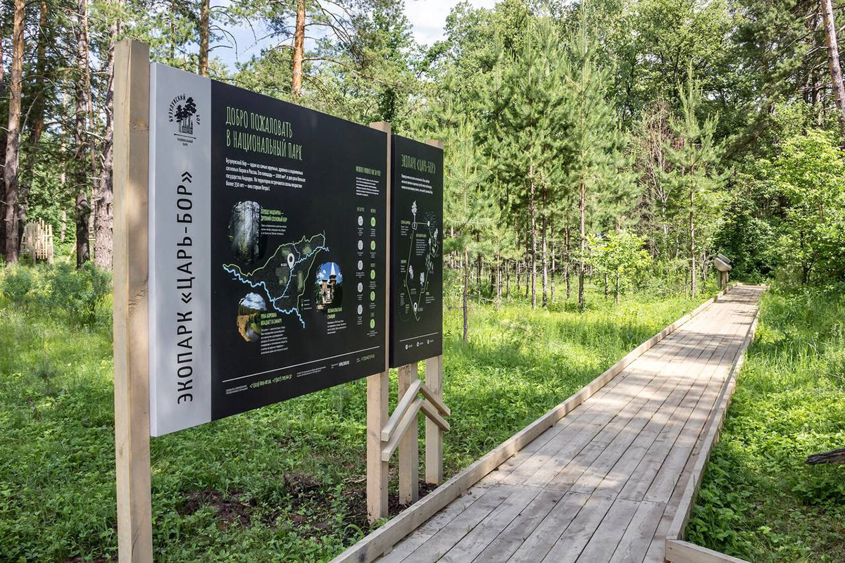 «Царь-бор» — комплекс из экопарка и экотропы — Изображение №2 — Графика на Dprofile
