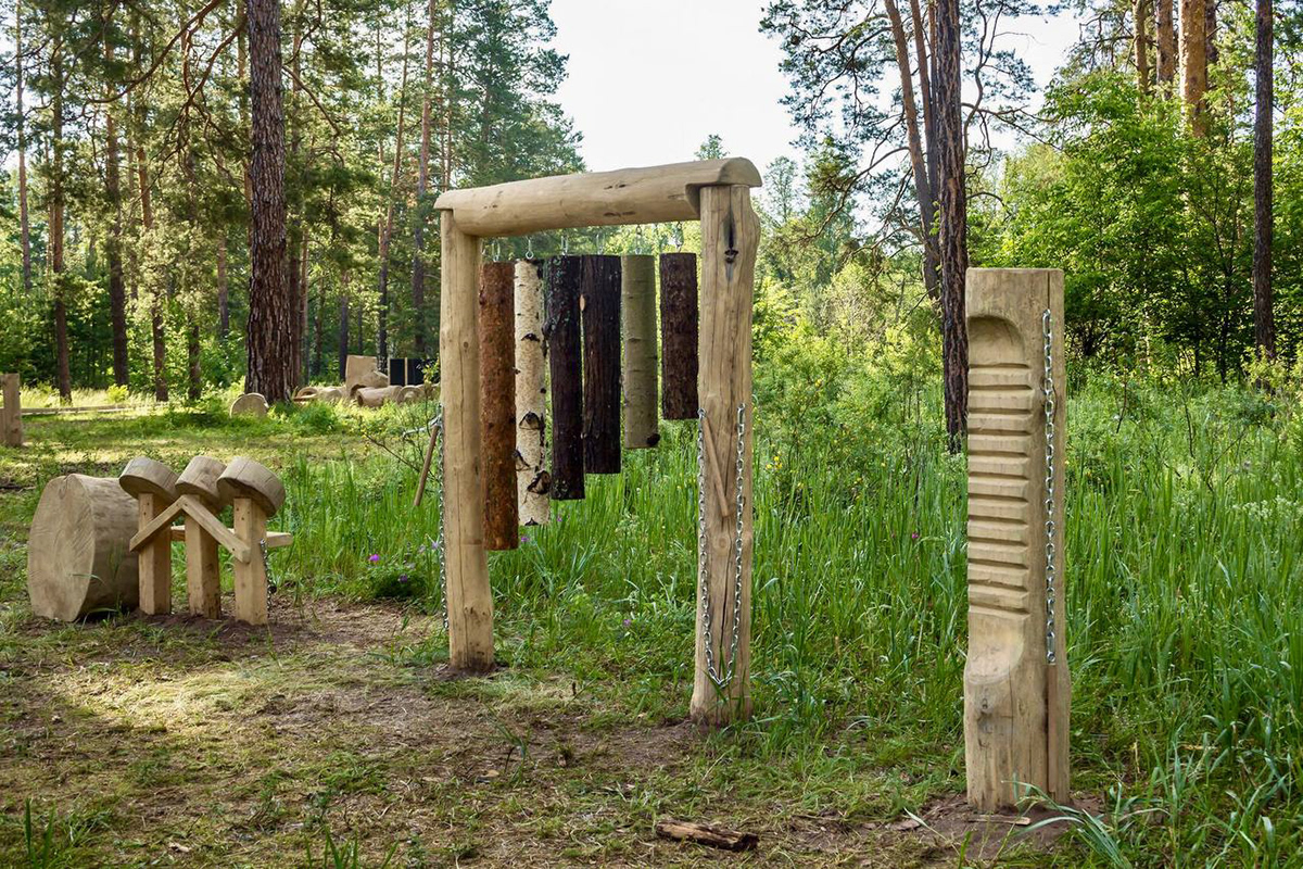 «Царь-бор» — комплекс из экопарка и экотропы — Изображение №5 — Графика на Dprofile