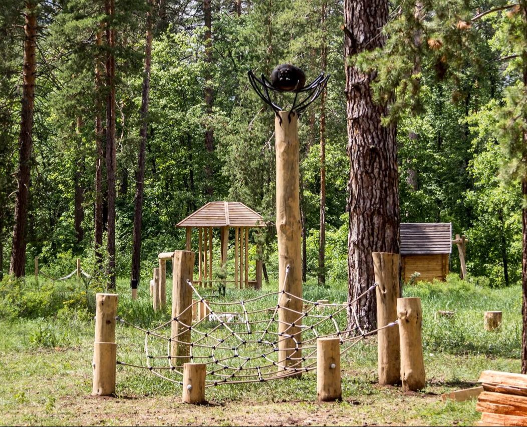 «Царь-бор» — комплекс из экопарка и экотропы — Графика на Dprofile