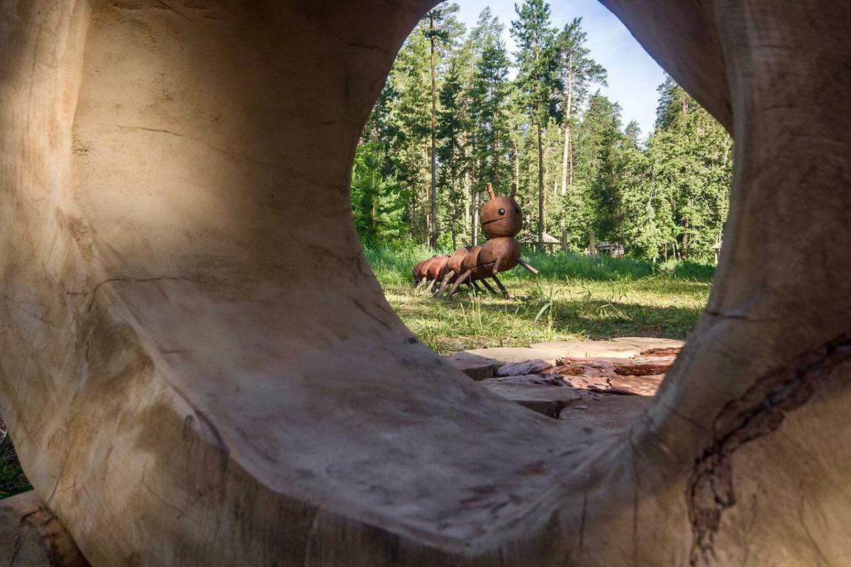 «Царь-бор» — комплекс из экопарка и экотропы — Изображение №4 — Графика на Dprofile