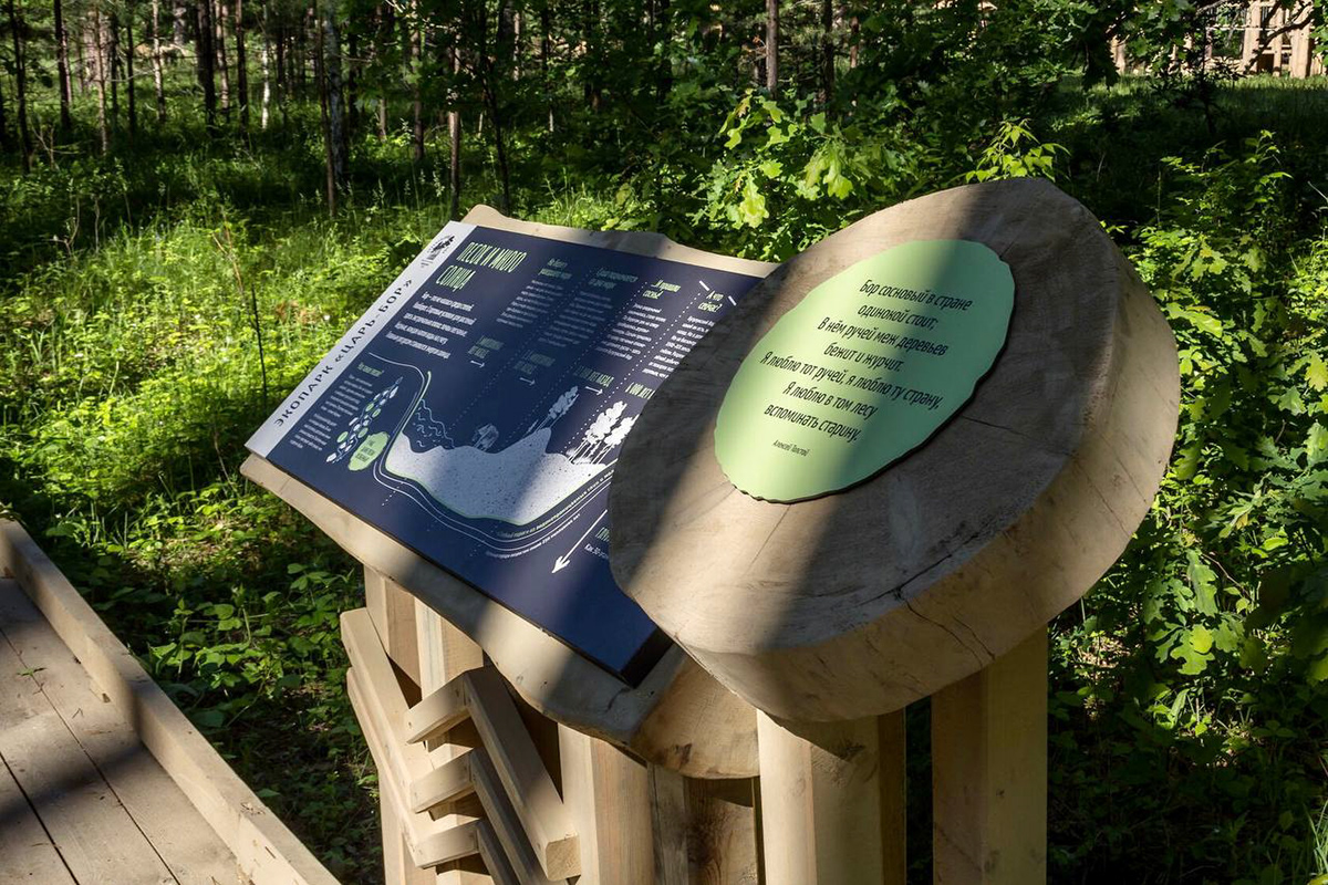 «Царь-бор» — комплекс из экопарка и экотропы — Изображение №8 — Графика на Dprofile