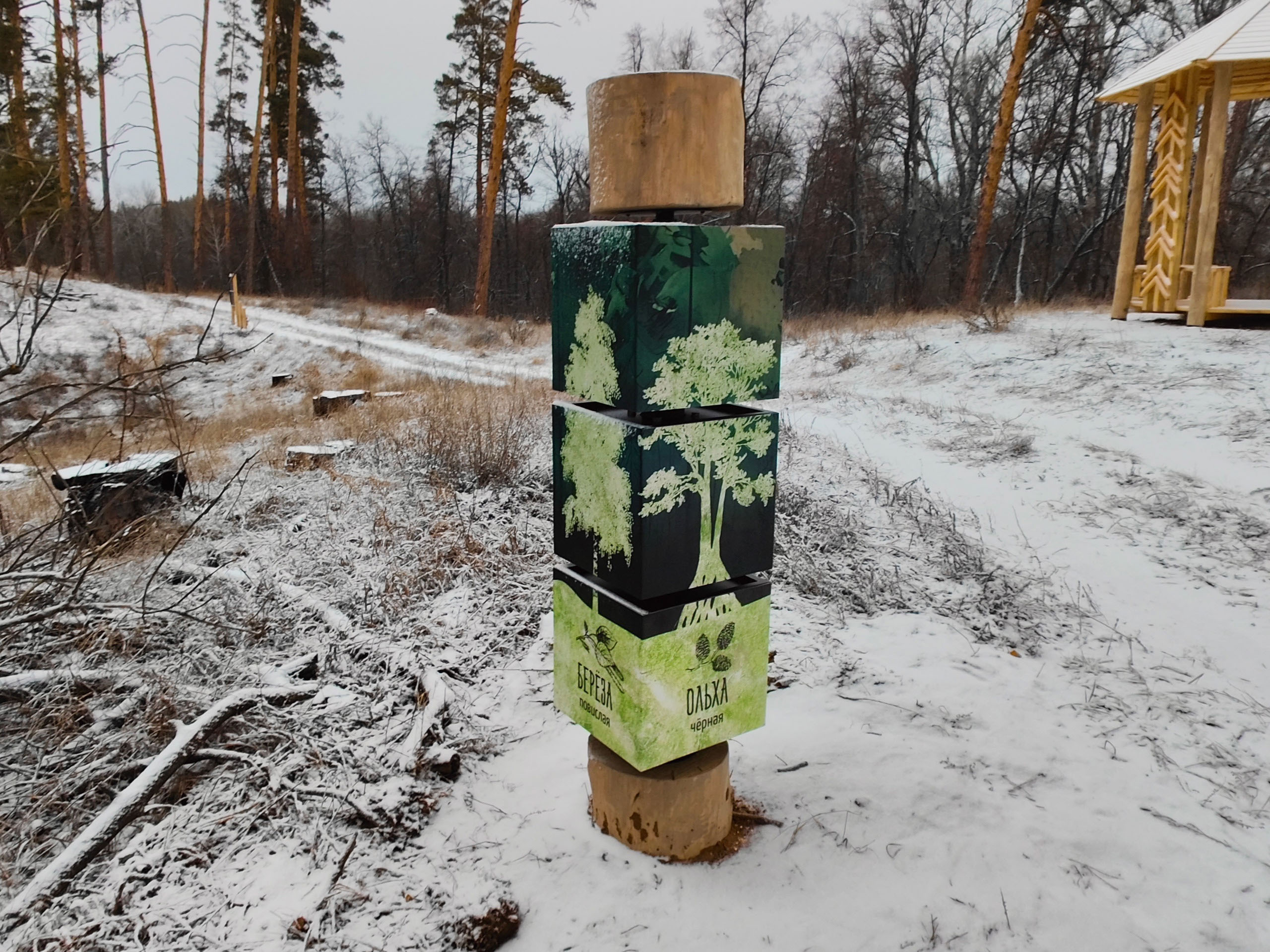 Экотропа «Сказочный борок» — Изображение №4 — Брендинг, Иллюстрация на Dprofile