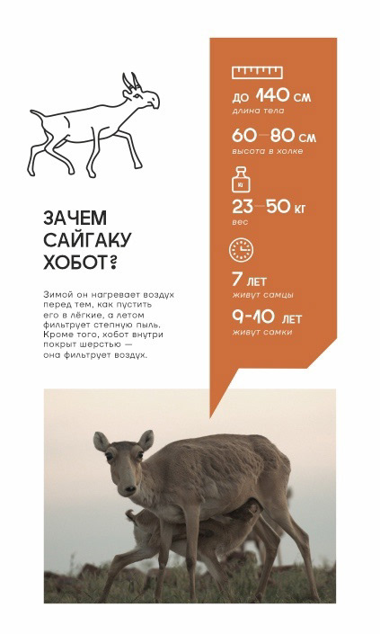 Музей заповедного дела — Изображение №8 — Графика, 3D на Dprofile