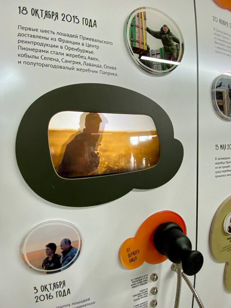 Экспозиция Дом дикой лошади — Изображение №6 — Брендинг, Иллюстрация на Dprofile