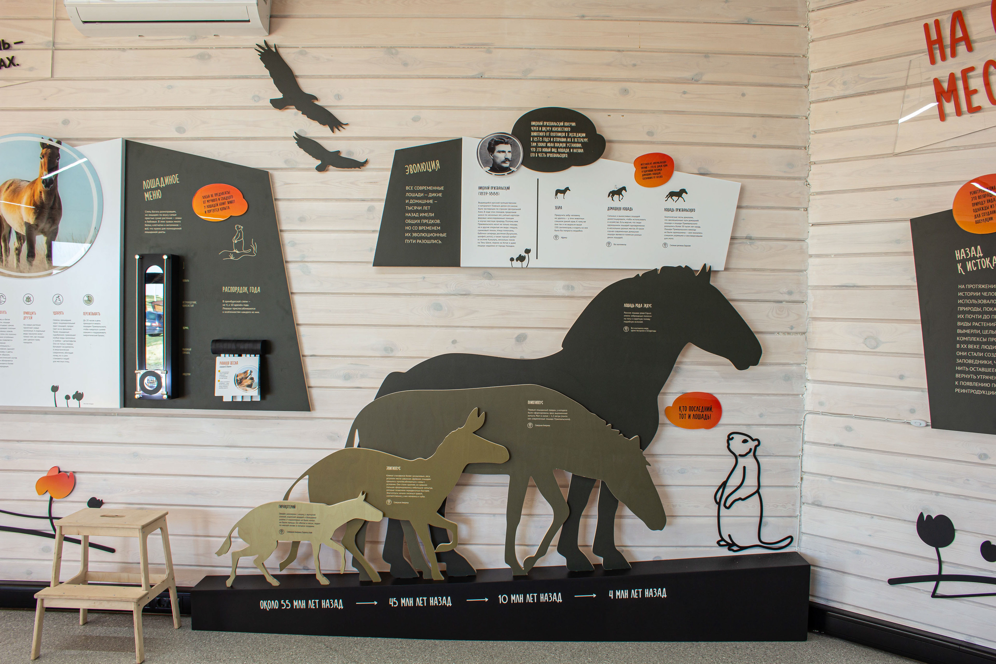 Экспозиция Дом дикой лошади — Изображение №1 — Брендинг, Иллюстрация на Dprofile