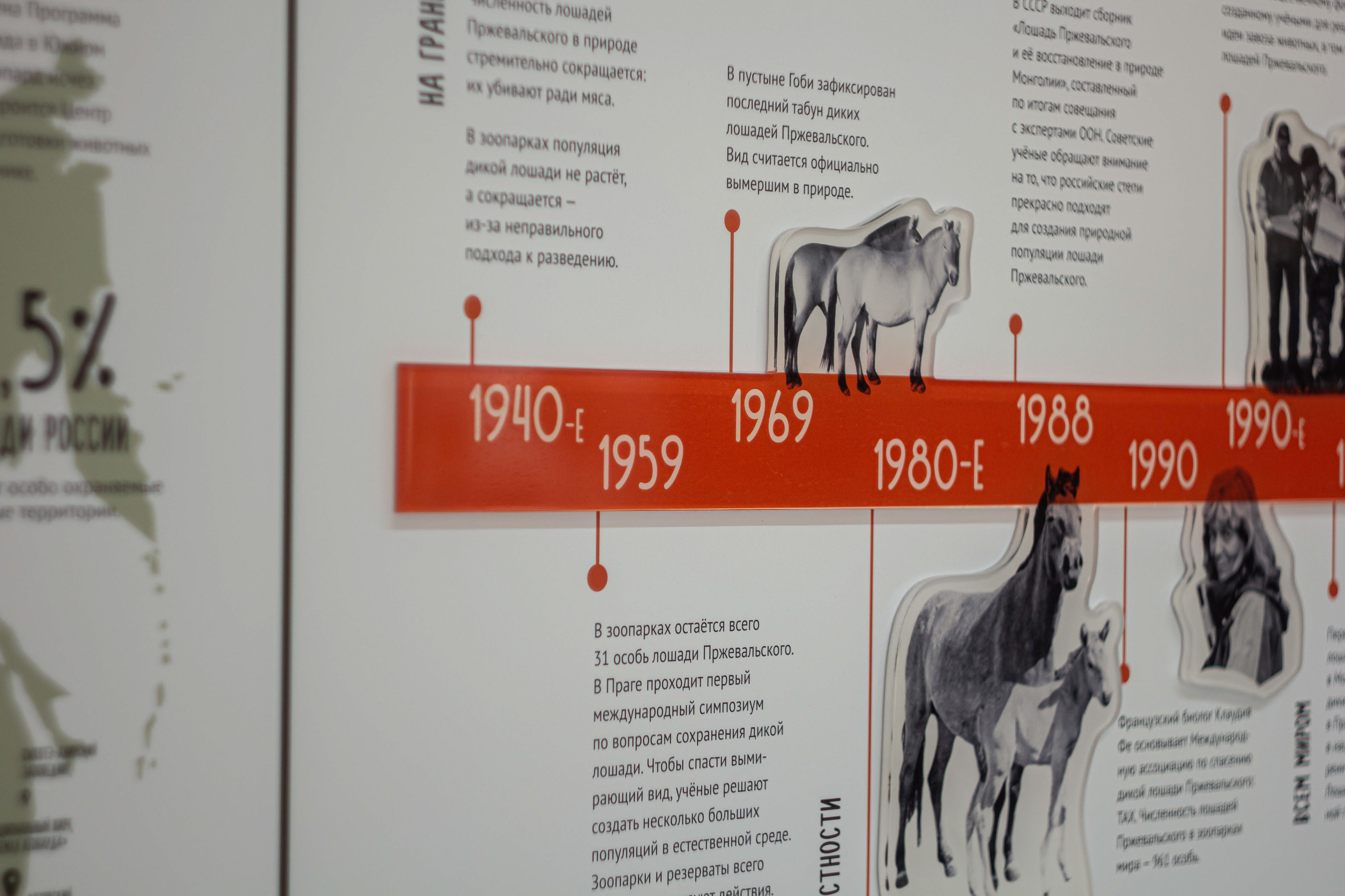 Экспозиция Дом дикой лошади — Изображение №4 — Брендинг, Иллюстрация на Dprofile