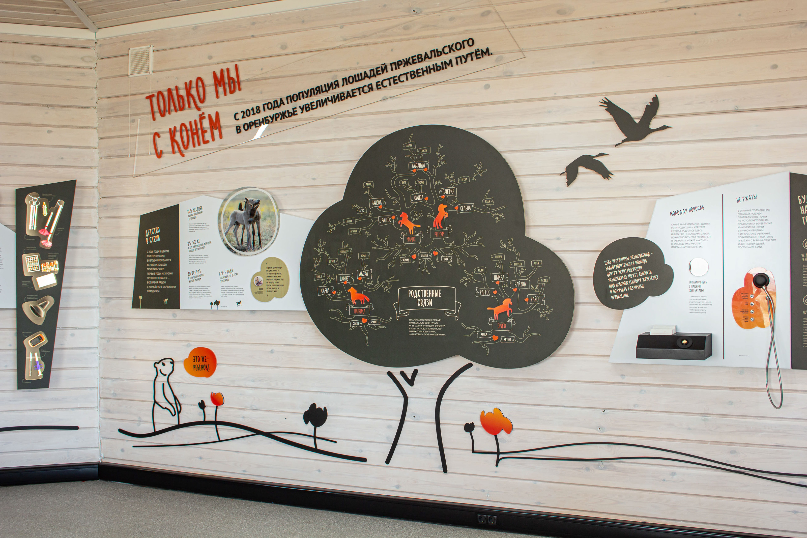 Экспозиция Дом дикой лошади — Изображение №2 — Брендинг, Иллюстрация на Dprofile