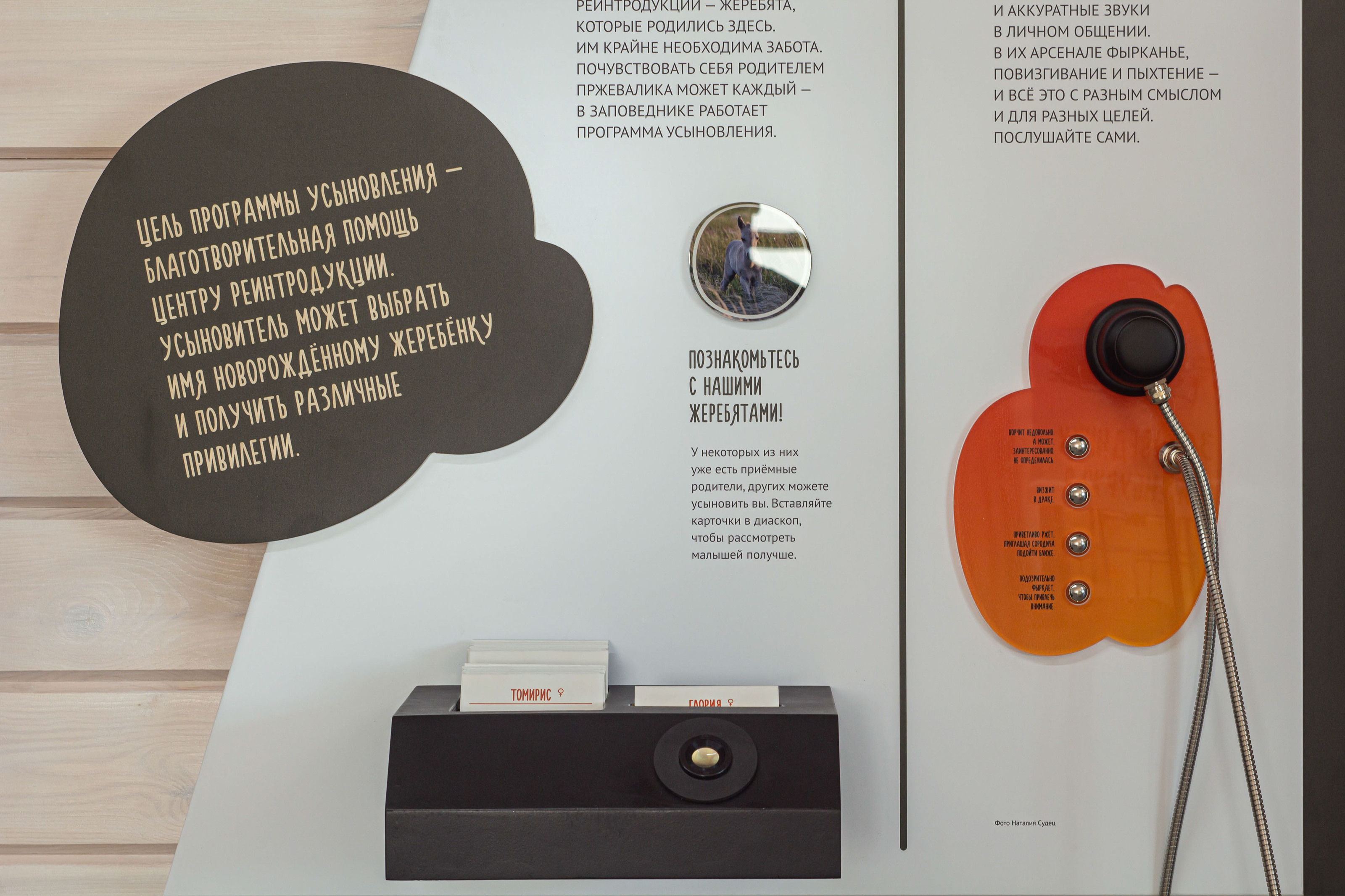 Экспозиция Дом дикой лошади — Изображение №8 — Брендинг, Иллюстрация на Dprofile