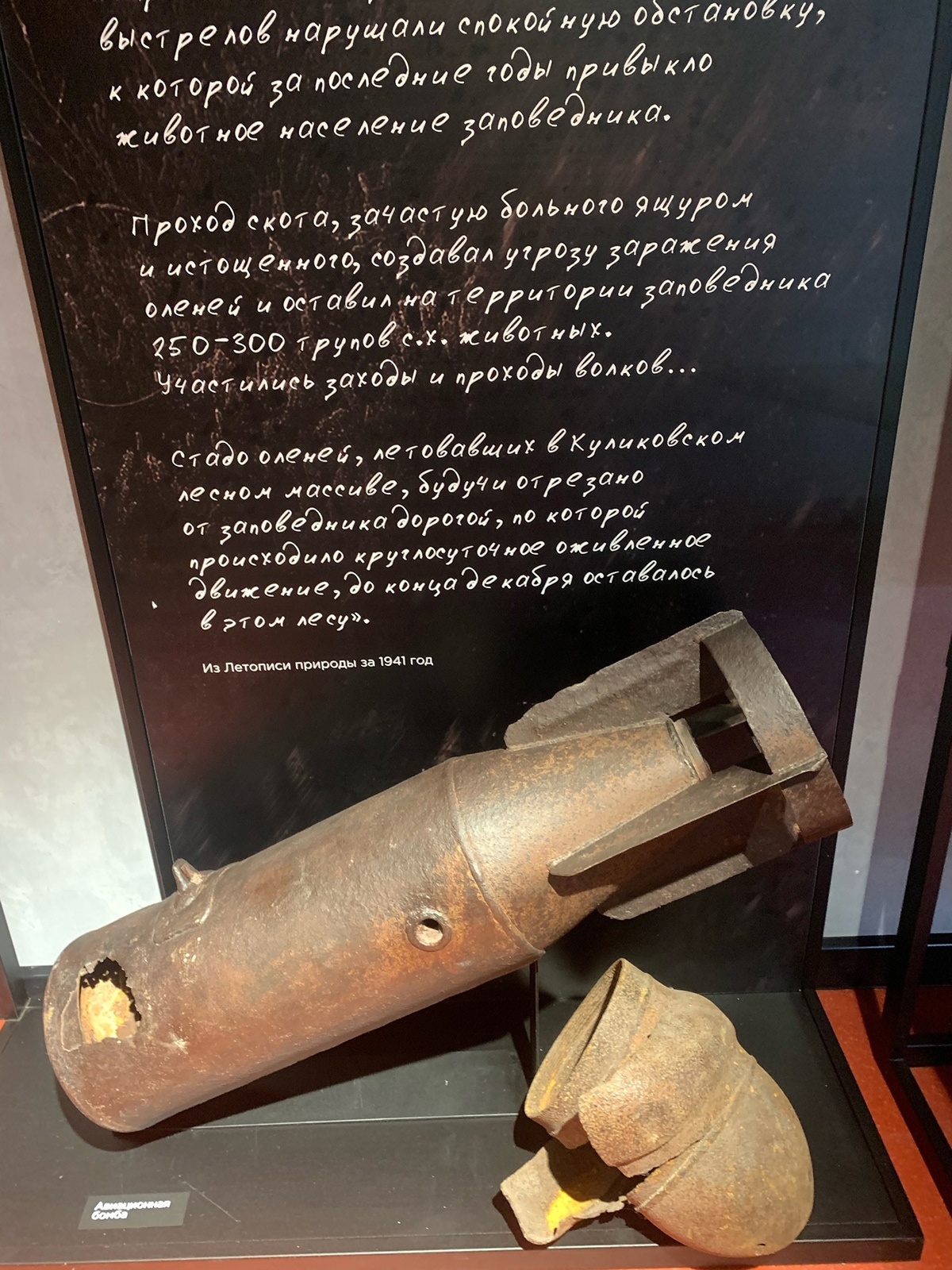 Дизайн экспозиции о Великой Отечественной войне — Изображение №6 — Иллюстрация, Графика на Dprofile