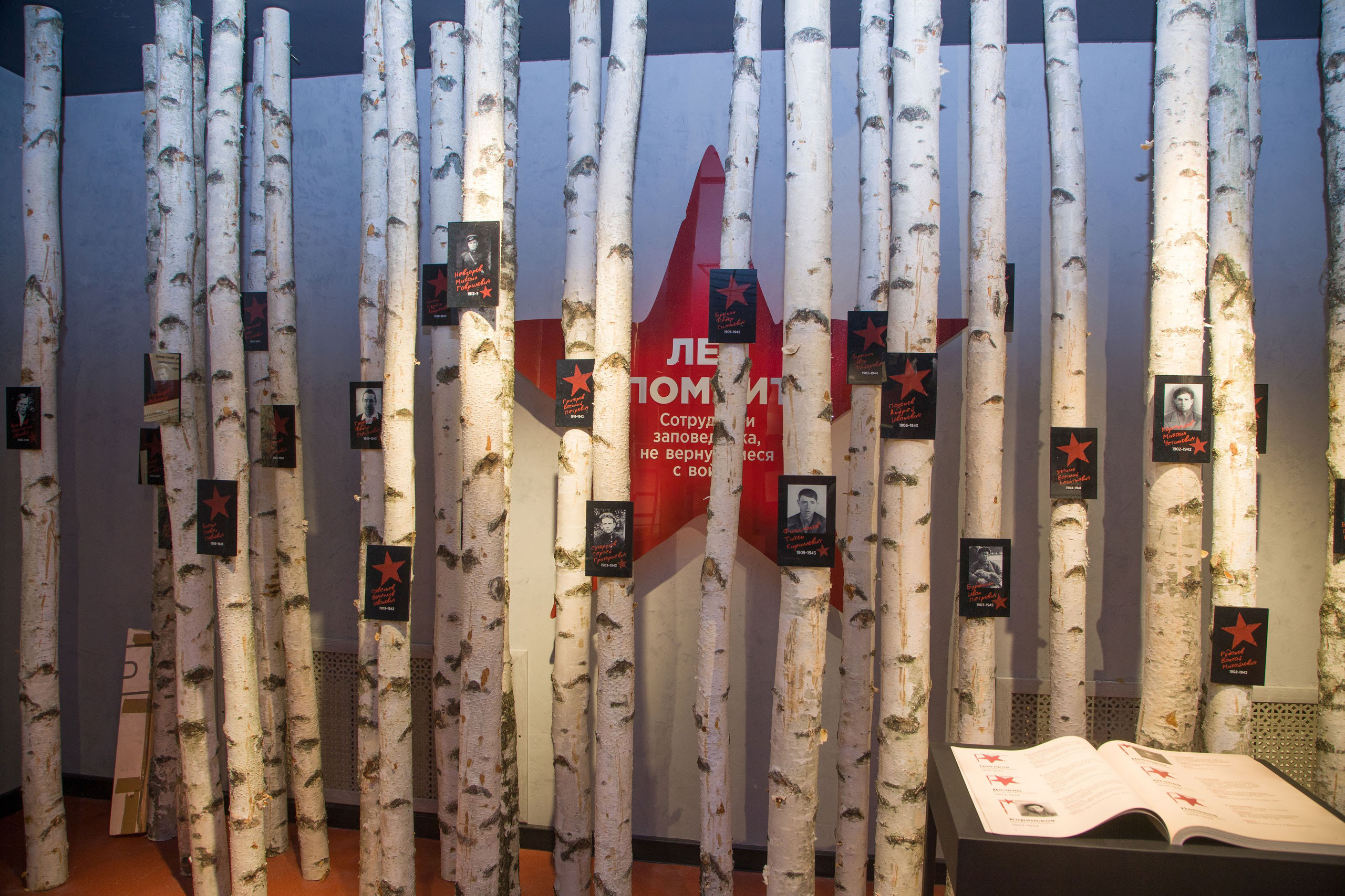 Дизайн экспозиции о Великой Отечественной войне — Изображение №2 — Иллюстрация, Графика на Dprofile