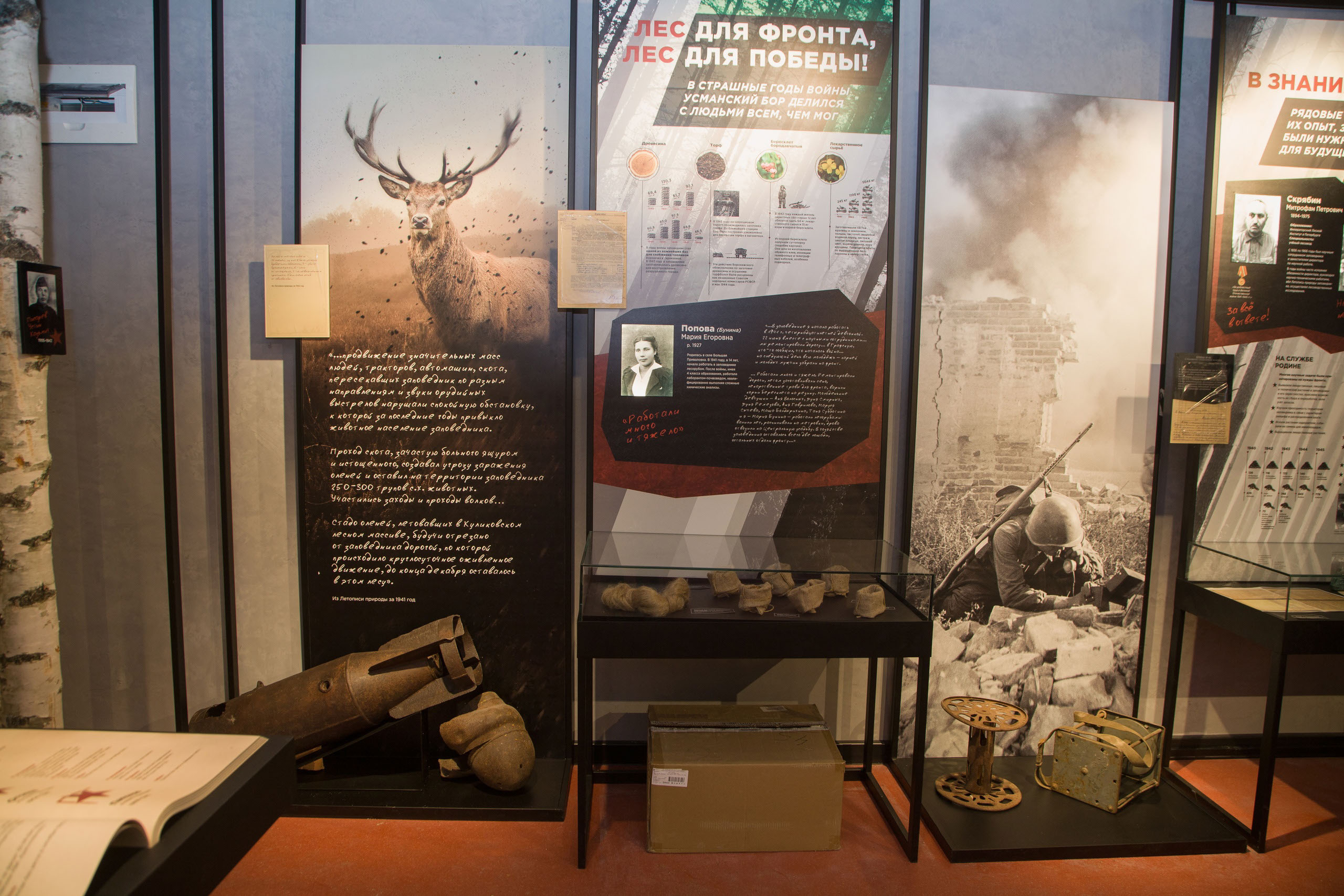 Дизайн экспозиции о Великой Отечественной войне — Изображение №3 — Иллюстрация, Графика на Dprofile