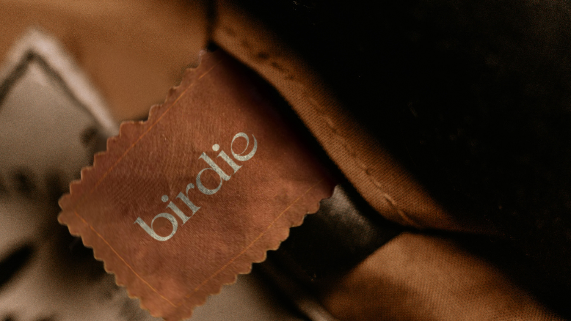 Birdie — Изображение №6 — Брендинг на Dprofile
