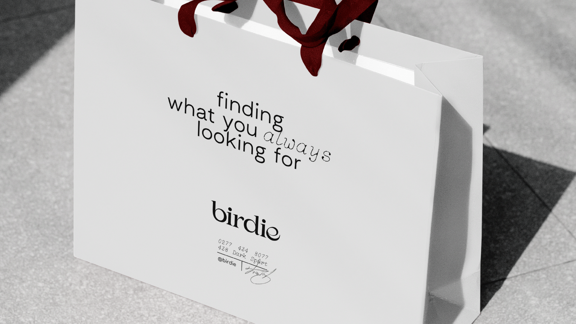 Birdie — Изображение №1 — Брендинг на Dprofile