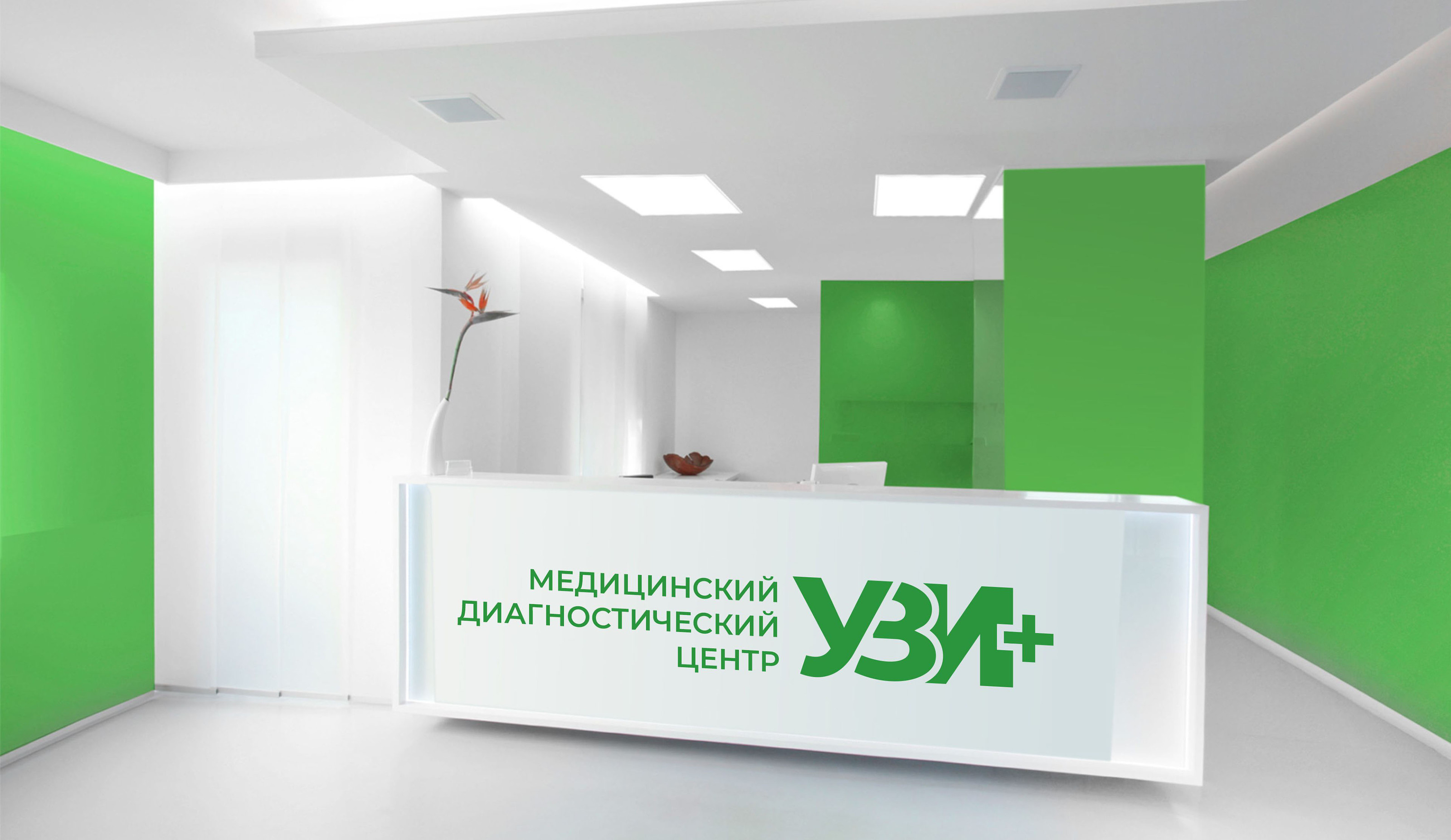 Разработка логотипа и фирменного стиля для УЗИ+ — Изображение №2 — Брендинг на Dprofile