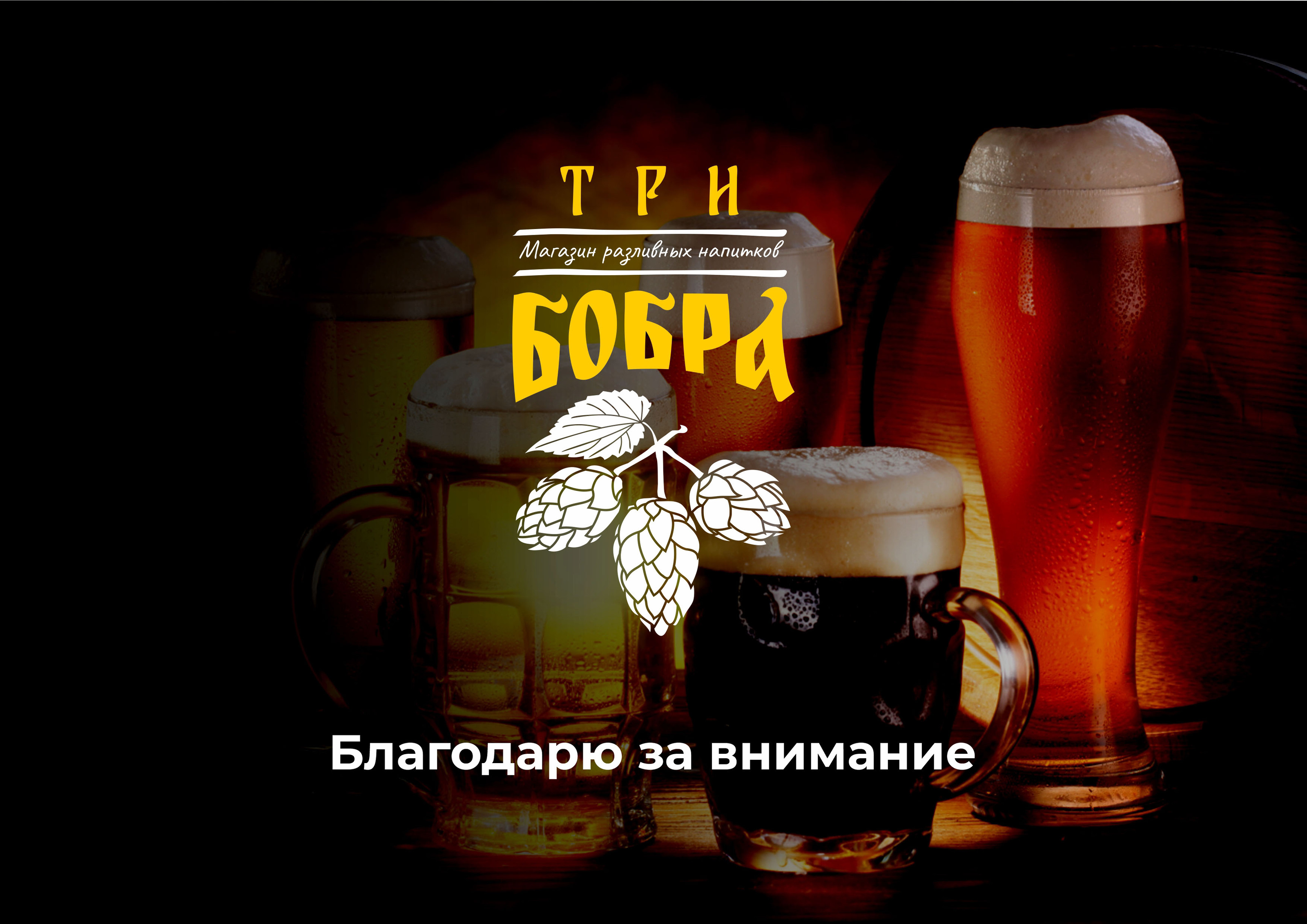 Разработка логотипа Три Бобра — Изображение №12 — Брендинг на Dprofile