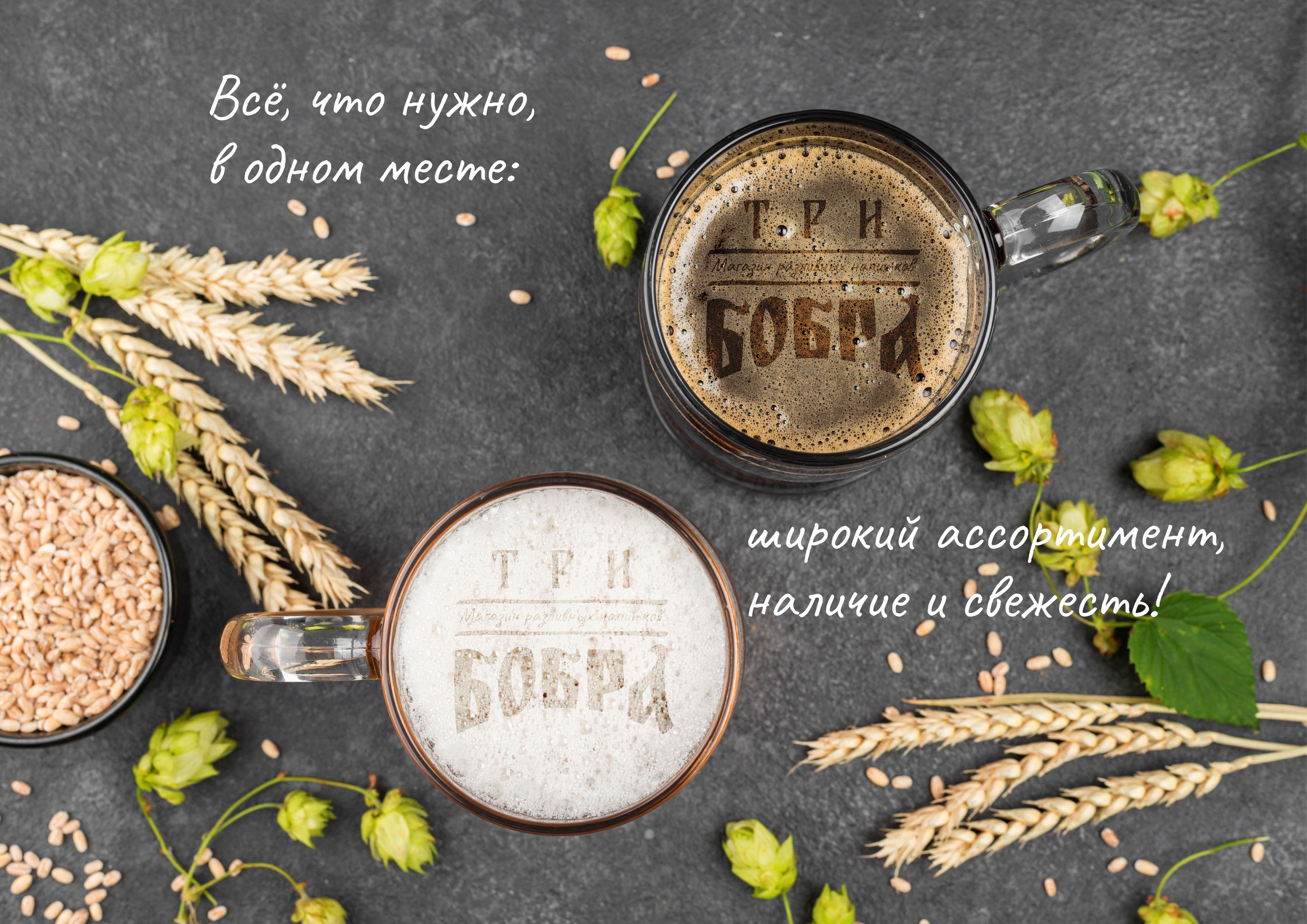 Разработка логотипа Три Бобра — Изображение №1 — Брендинг на Dprofile