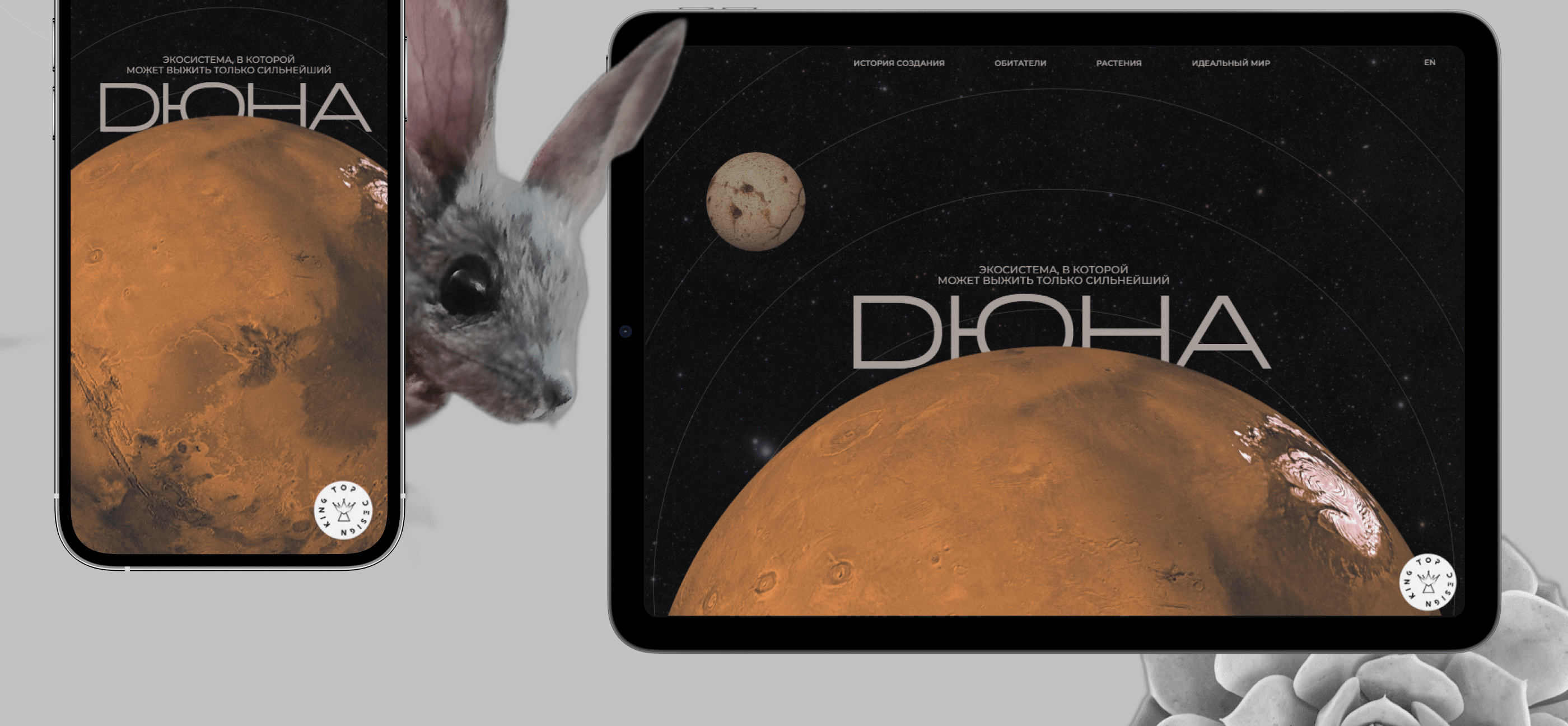 Креативный лонгрид — Изображение №4 — Интерфейсы, Анимация на Dprofile