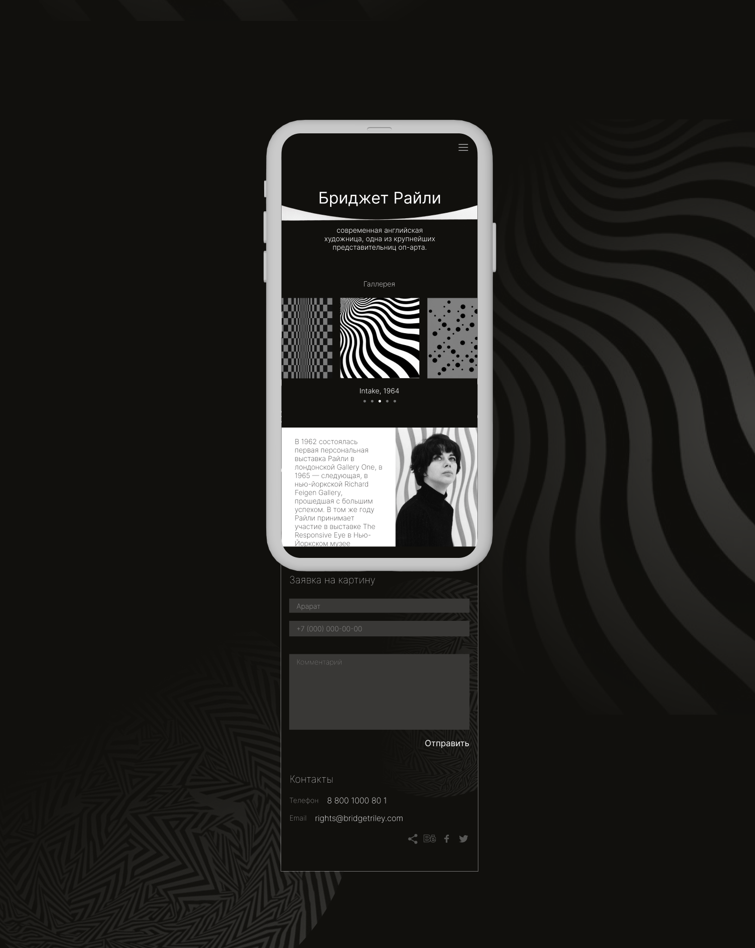 LANDING PAGE | Artist Bridget Riley — Изображение №6 — Интерфейсы на Dprofile