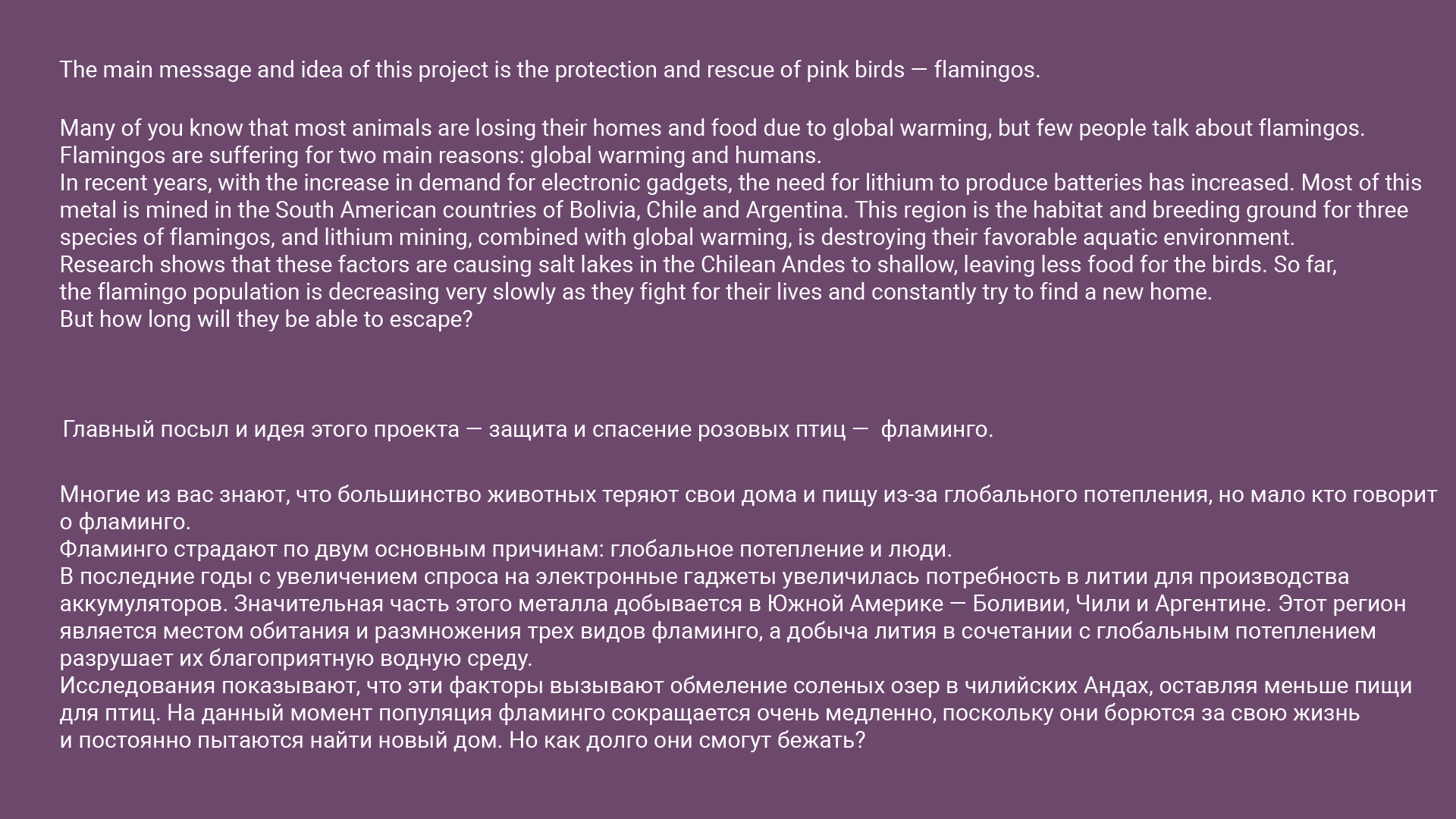 Flamingo's rescue poster — Изображение №2 — Иллюстрация, Графика на Dprofile