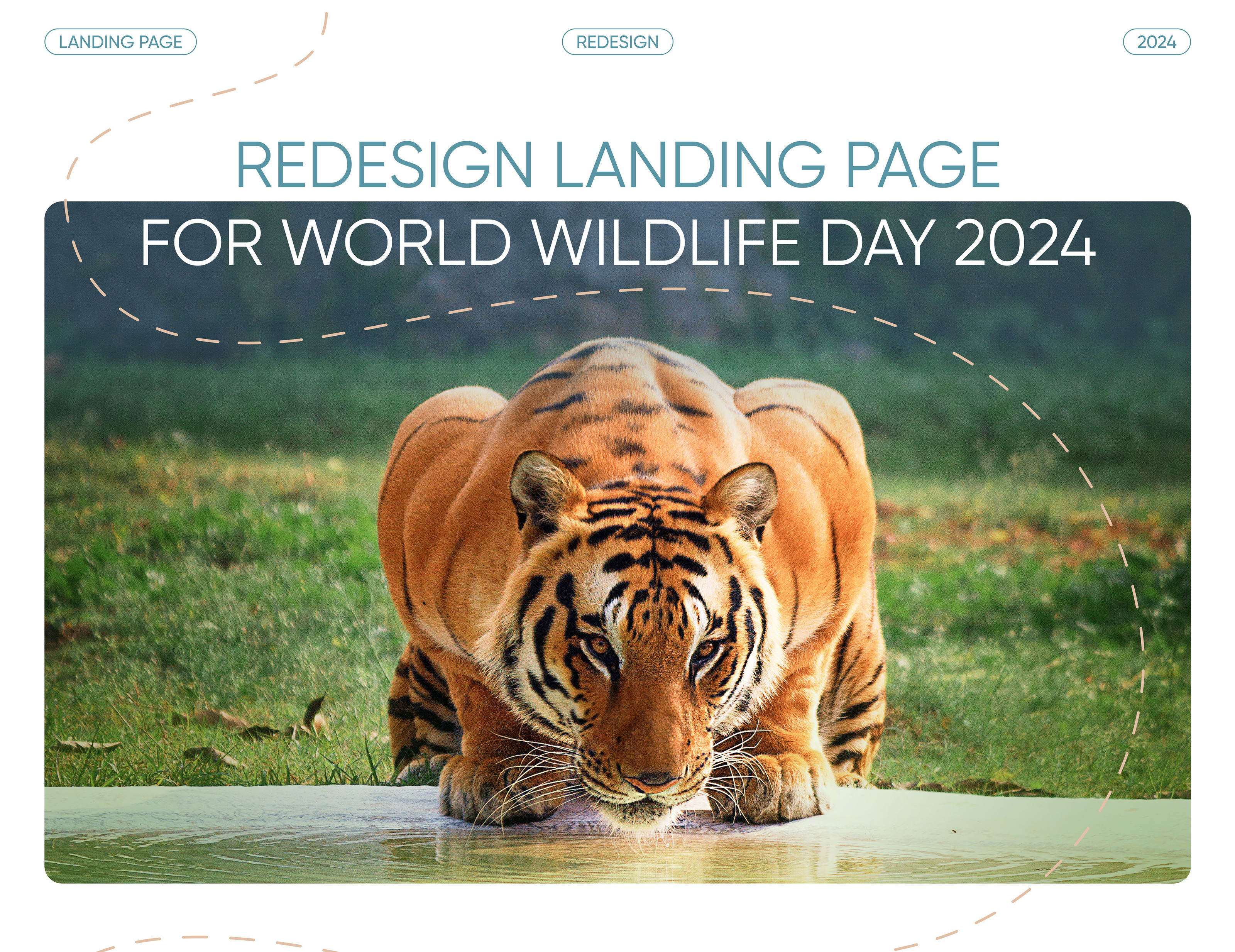 Redesign website WORLD WILDLIFE DAY 2024 — Изображение №1 — Интерфейсы на Dprofile