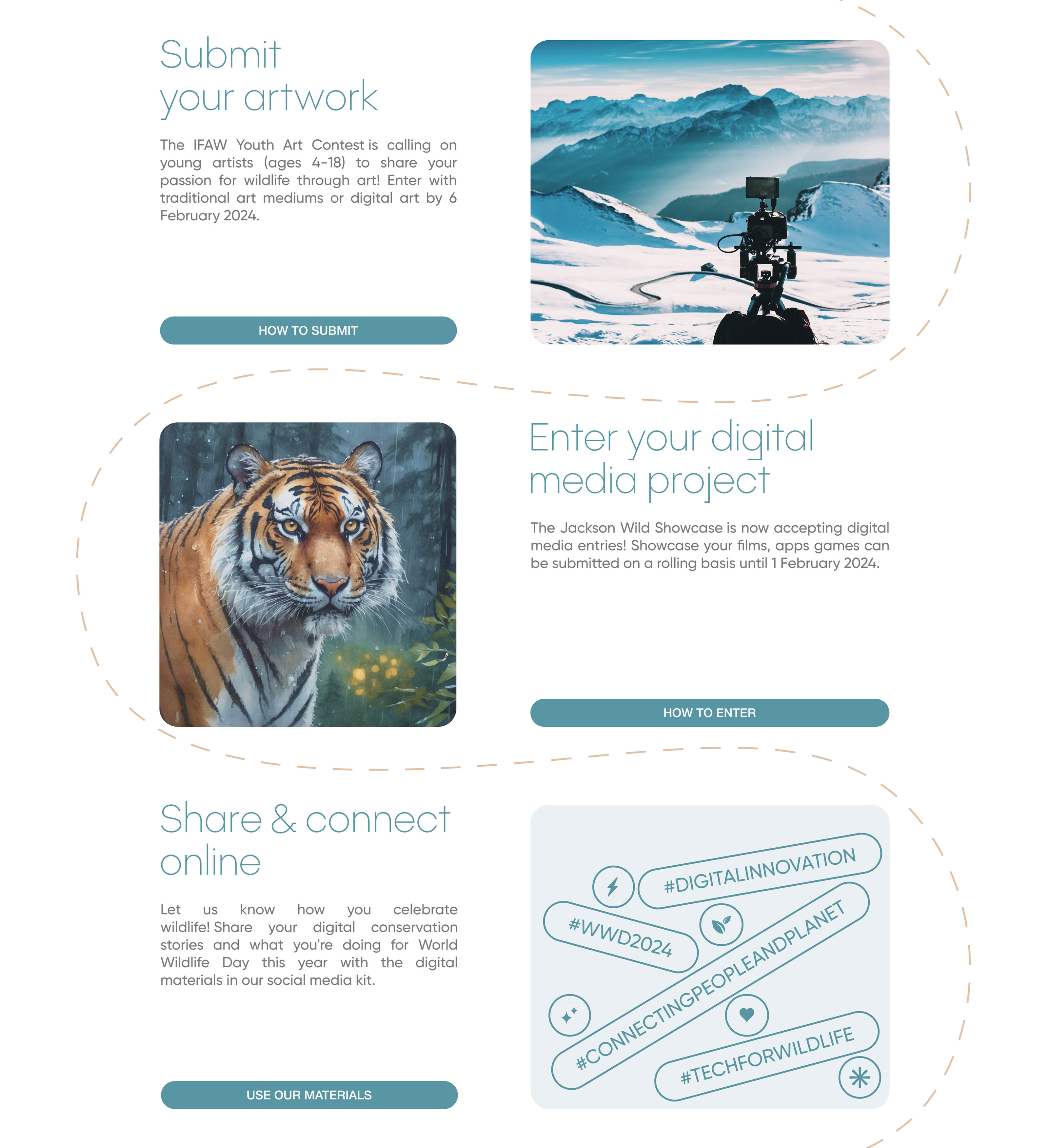 Redesign website WORLD WILDLIFE DAY 2024 — Изображение №9 — Интерфейсы на Dprofile