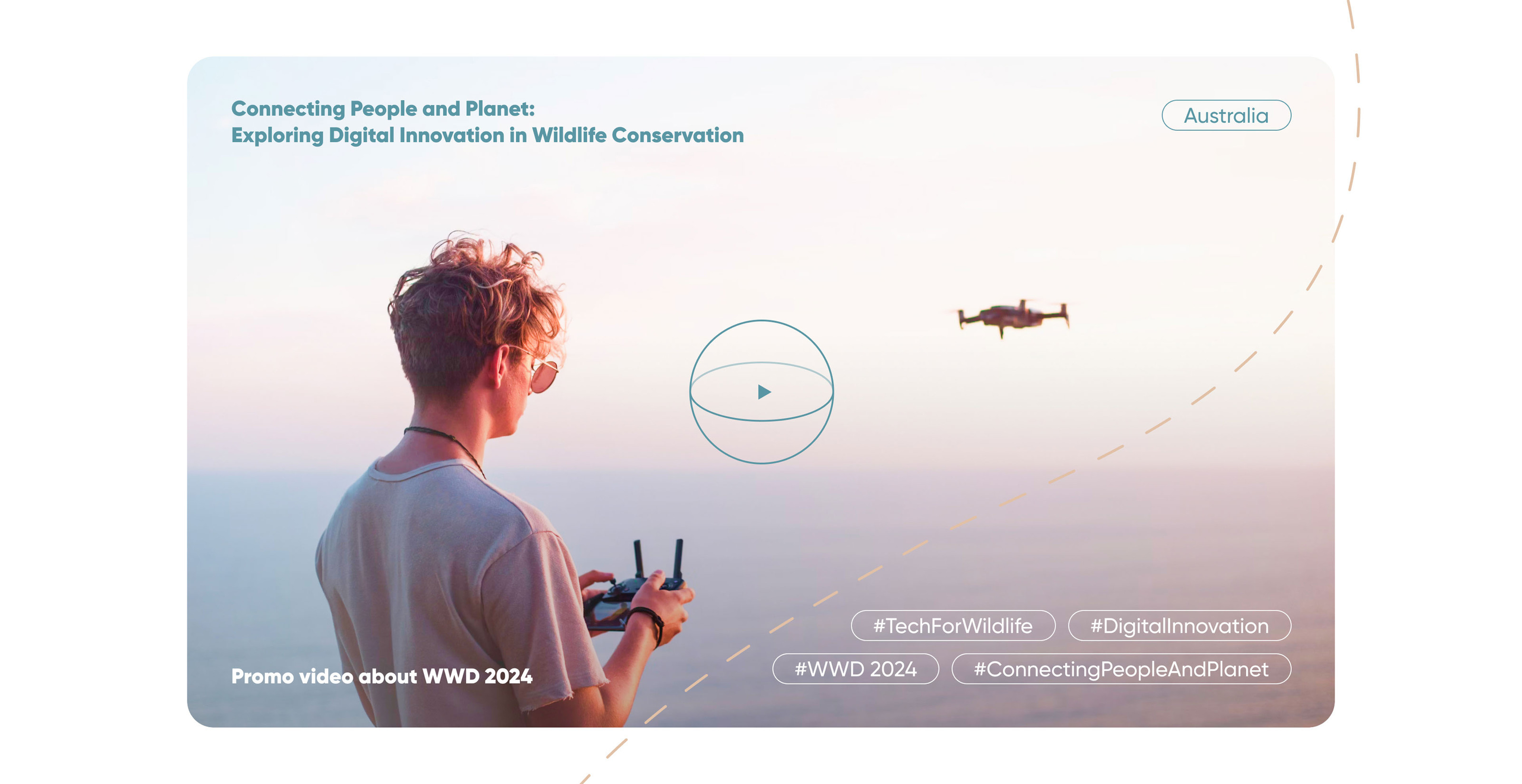 Redesign website WORLD WILDLIFE DAY 2024 — Изображение №11 — Интерфейсы на Dprofile